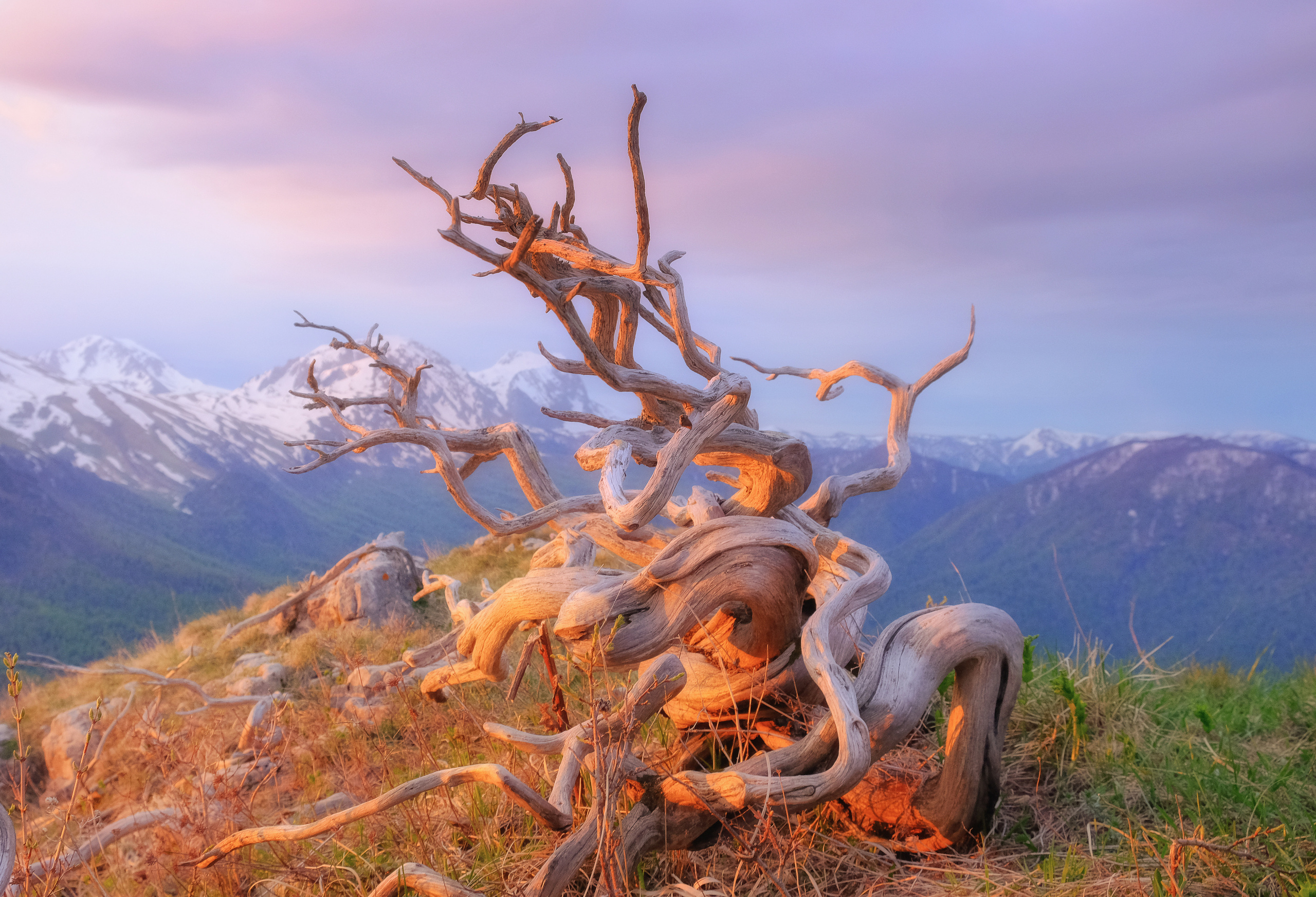 Плато Черногор. Пейзажный фотограф Олеся Федосеенкова. Фудфотограф в Туапсе, Краснодар