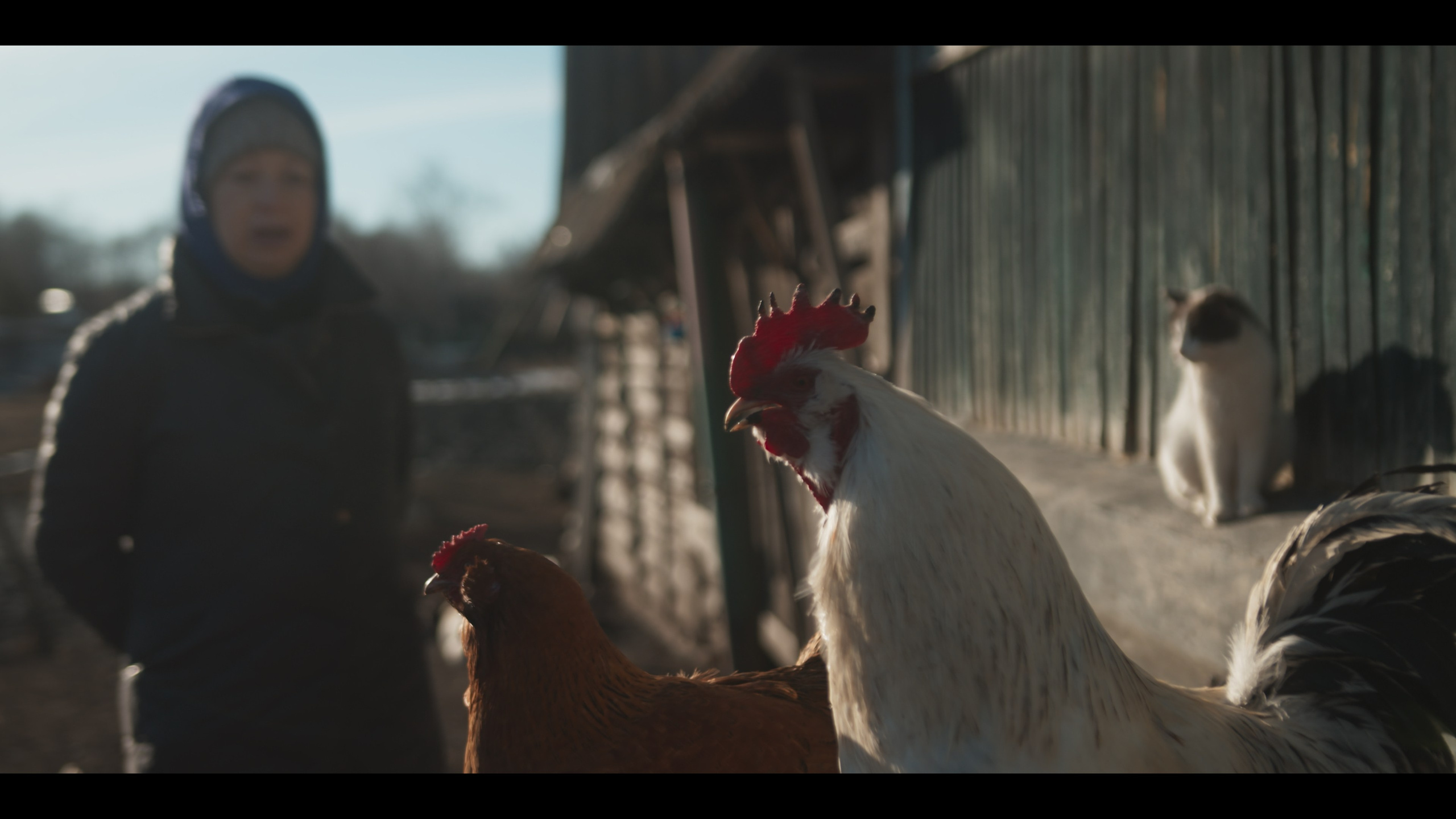 Цветокоррекция и монтаж фильмов, клипов и рекламы