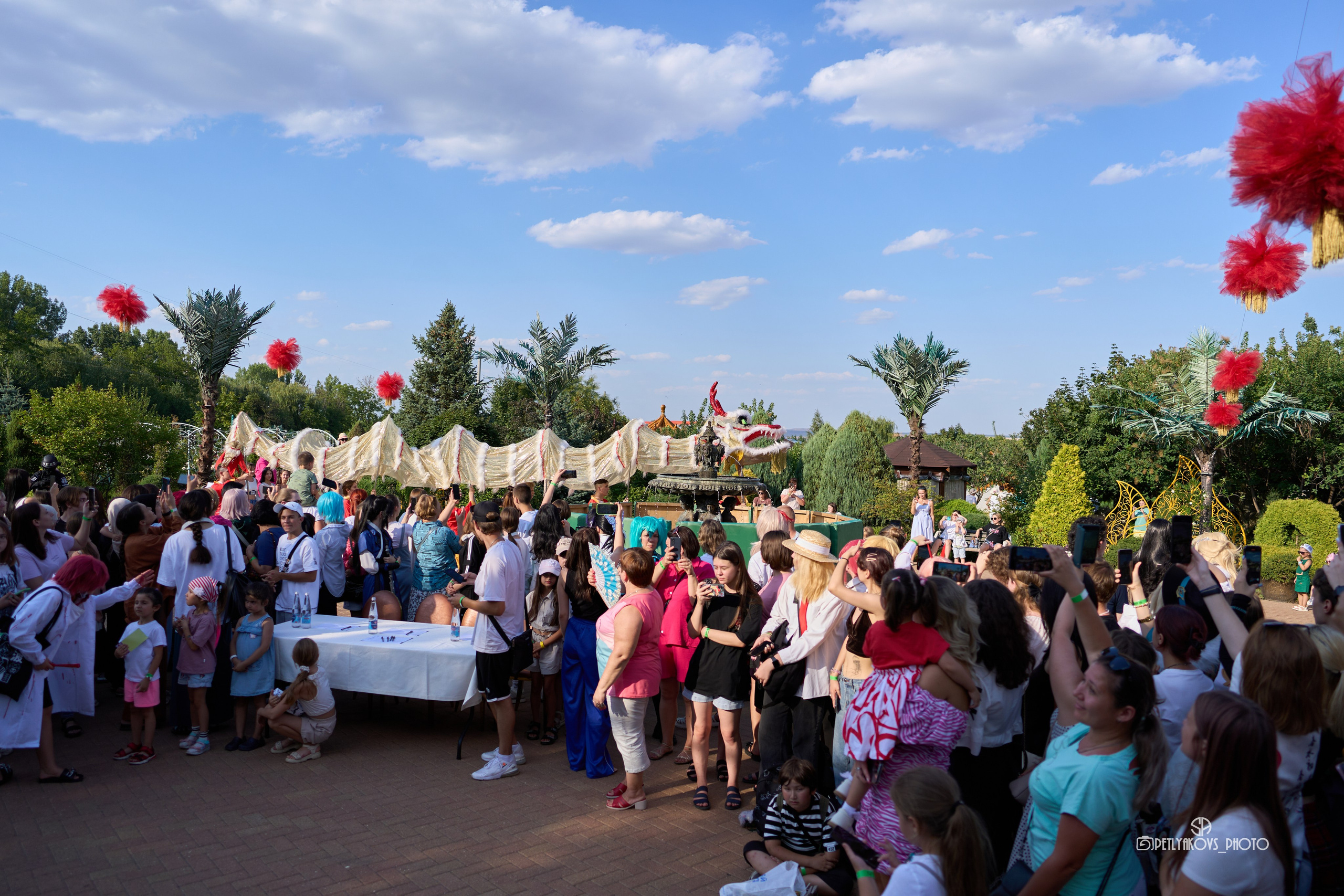 «Золотой Дракон». Фотограф, видеограф Пятигорск, Ставрополь, Ессентуки, Petlyakovs_photo