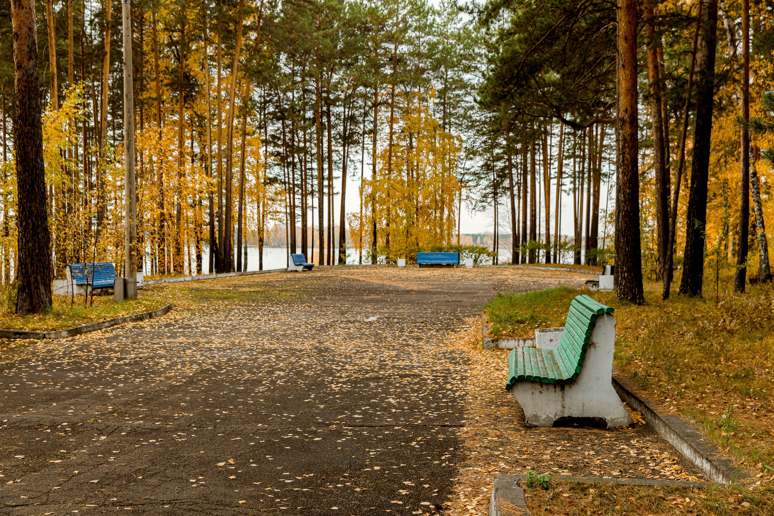 Осень в парке. Семейный и детский фотограф в Железногорске Саламахо Ольга