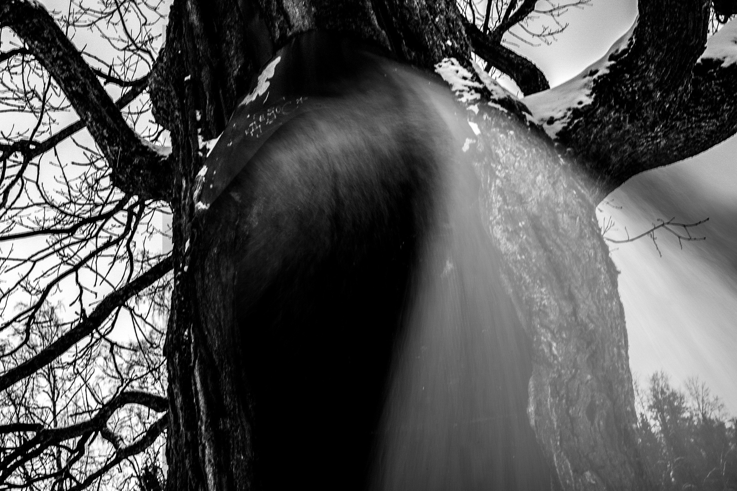 Movement as a myth. Alla Remizova, photographer