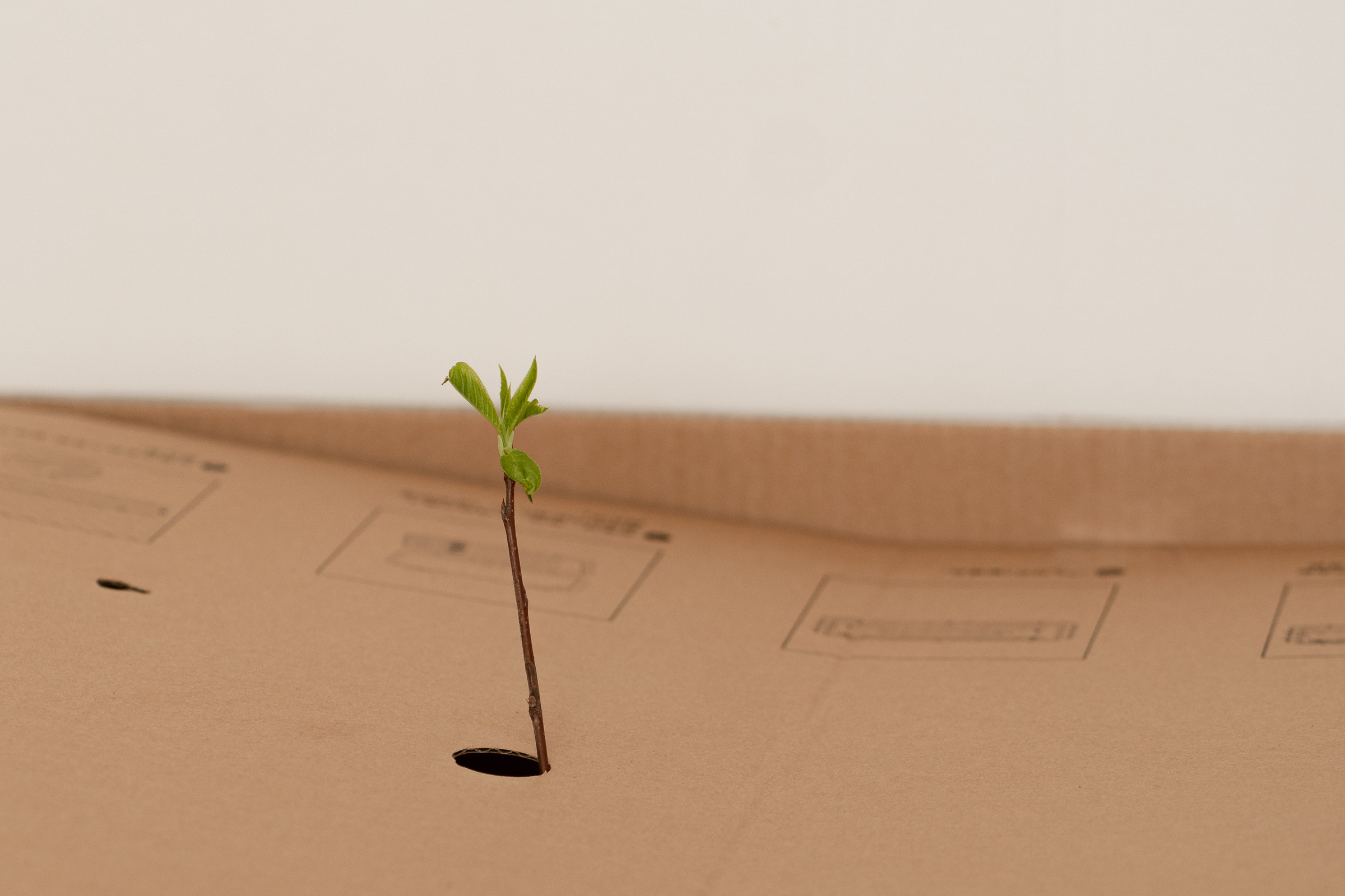 Детская фотосессия. Семейный и детский фотограф в Омск Пугачева Елена