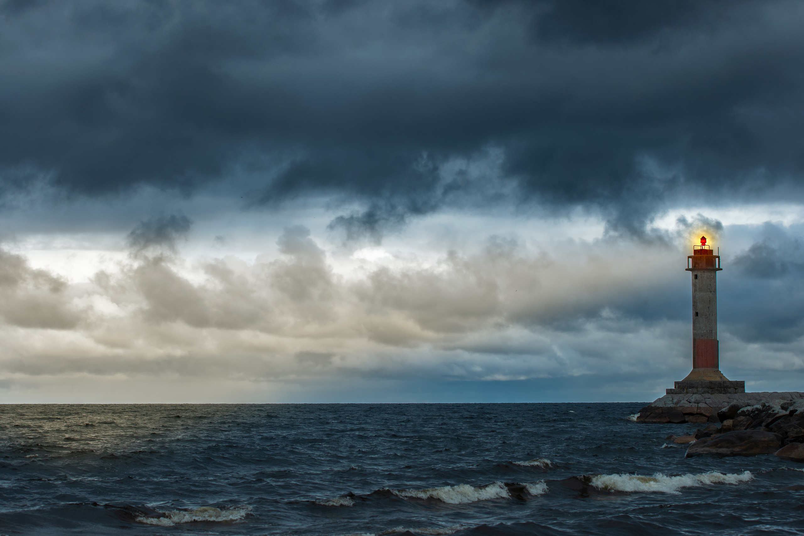 Фотограф анималист в Санкт-Петербурге Светлана Писарева