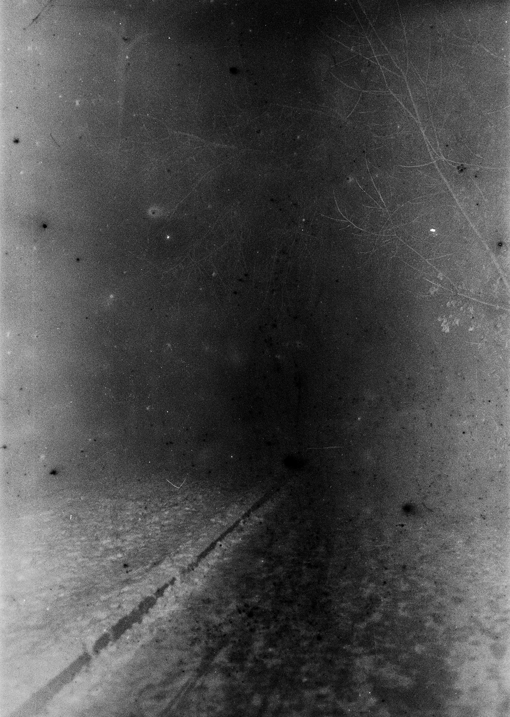 Осенние нуары. Контент-креатор Паша Норицын