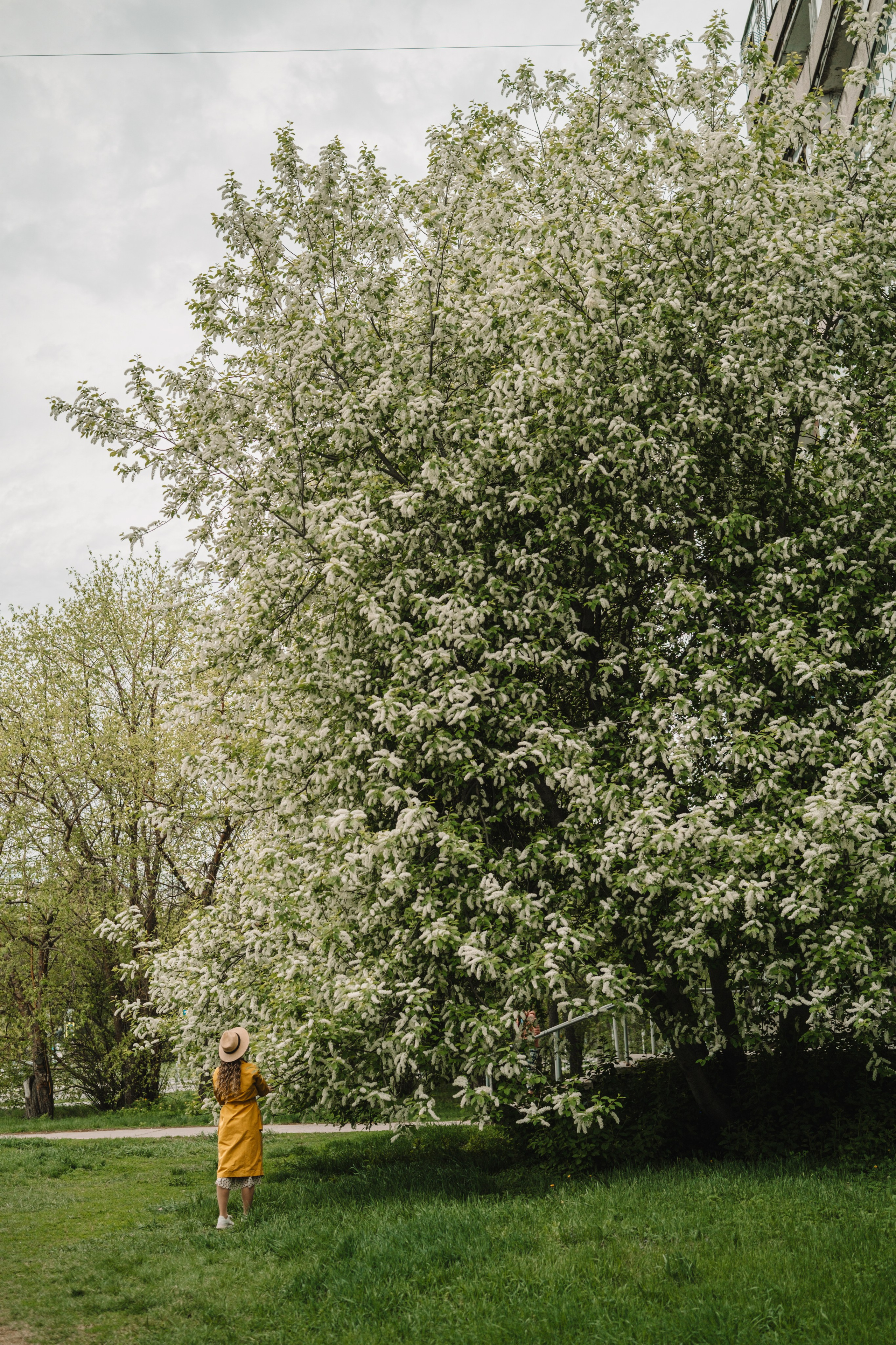 Люди. Фотограф Олеся Кавлакан