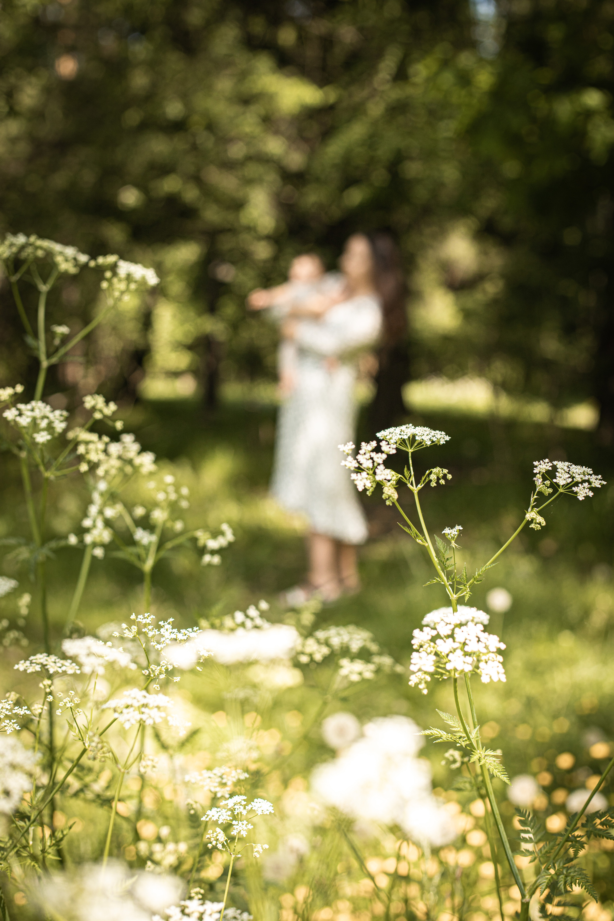 Фотосессия на природе недорого. Фотограф в Железнодорожном и Балашихе