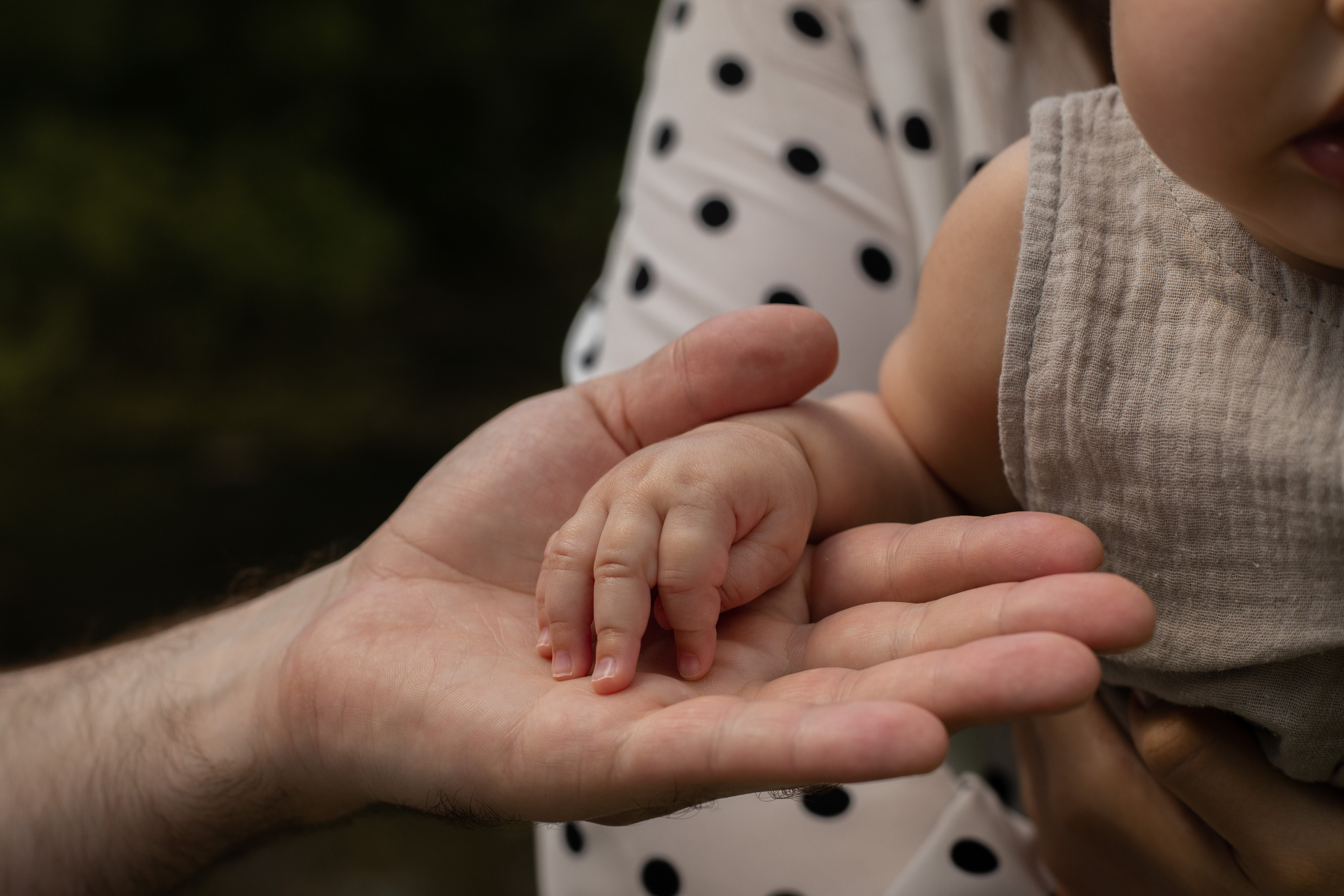 Фотосессия на природе недорого. Фотограф в Железнодорожном и Балашихе