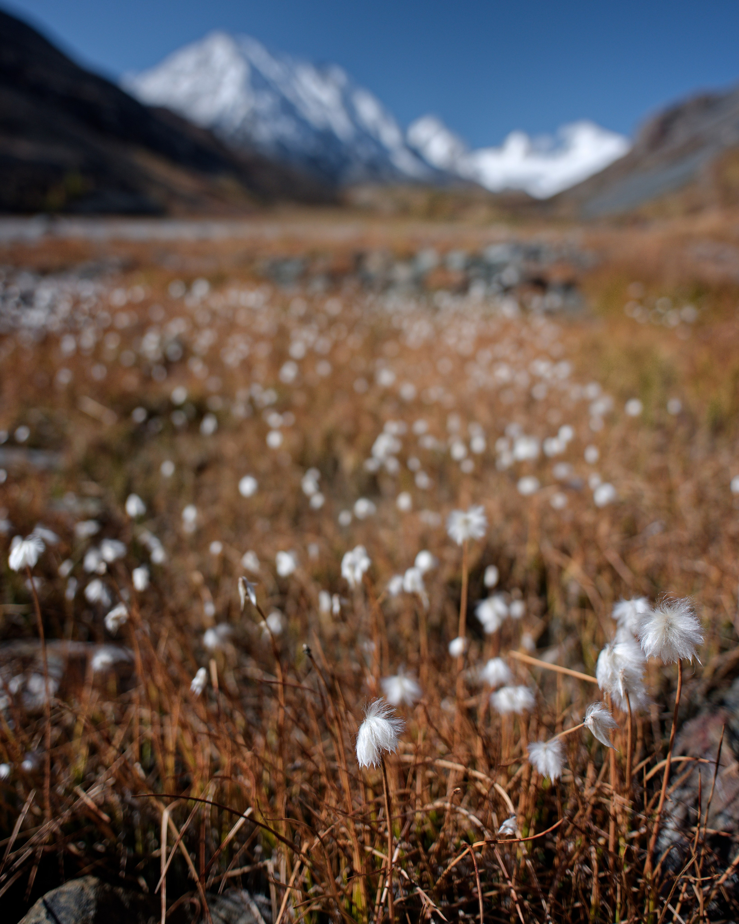 Путешествие по южному Алтаю. Семоха Валерий. Фотограф