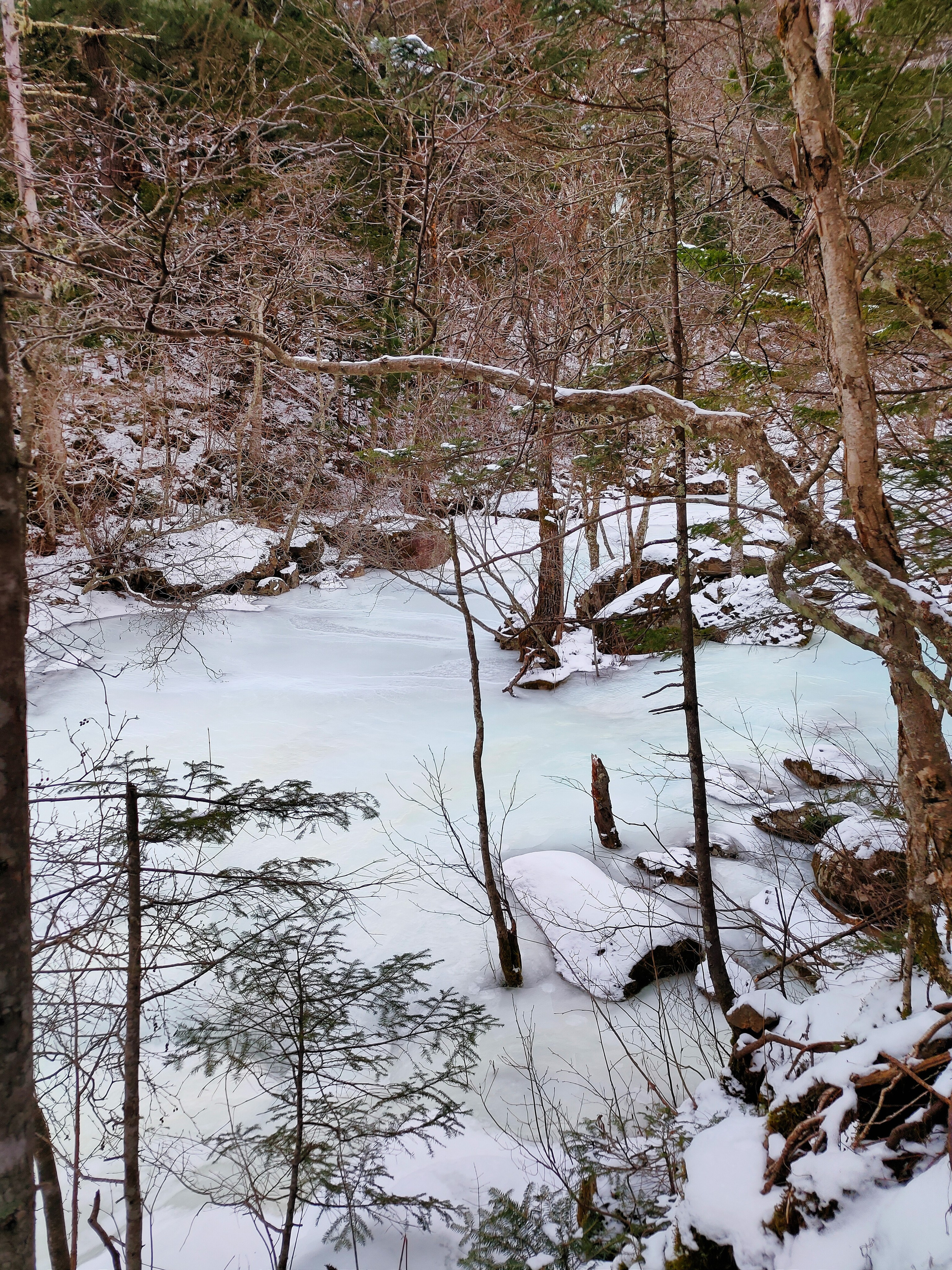 Вид на Смольный ключ с зимней тропы