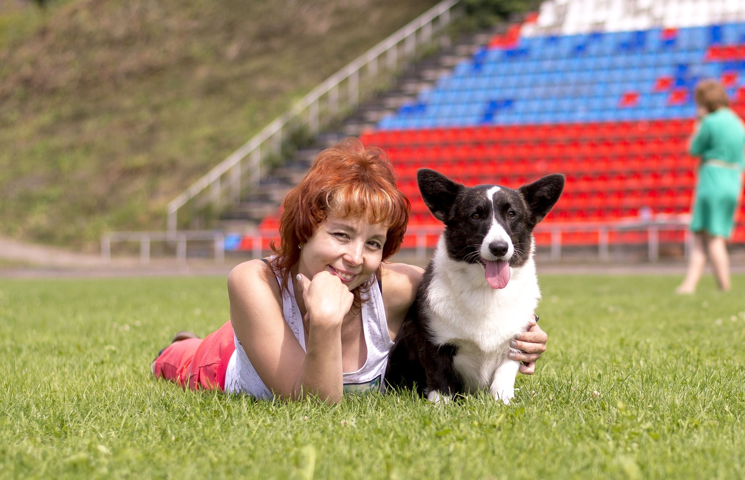 Вельш корги кардиган Ice Fantasy Tinkerbell БЭЛЛА. Купить щенка Вельш-корги-кардиган в семейном питомнике — Ice Fantasy