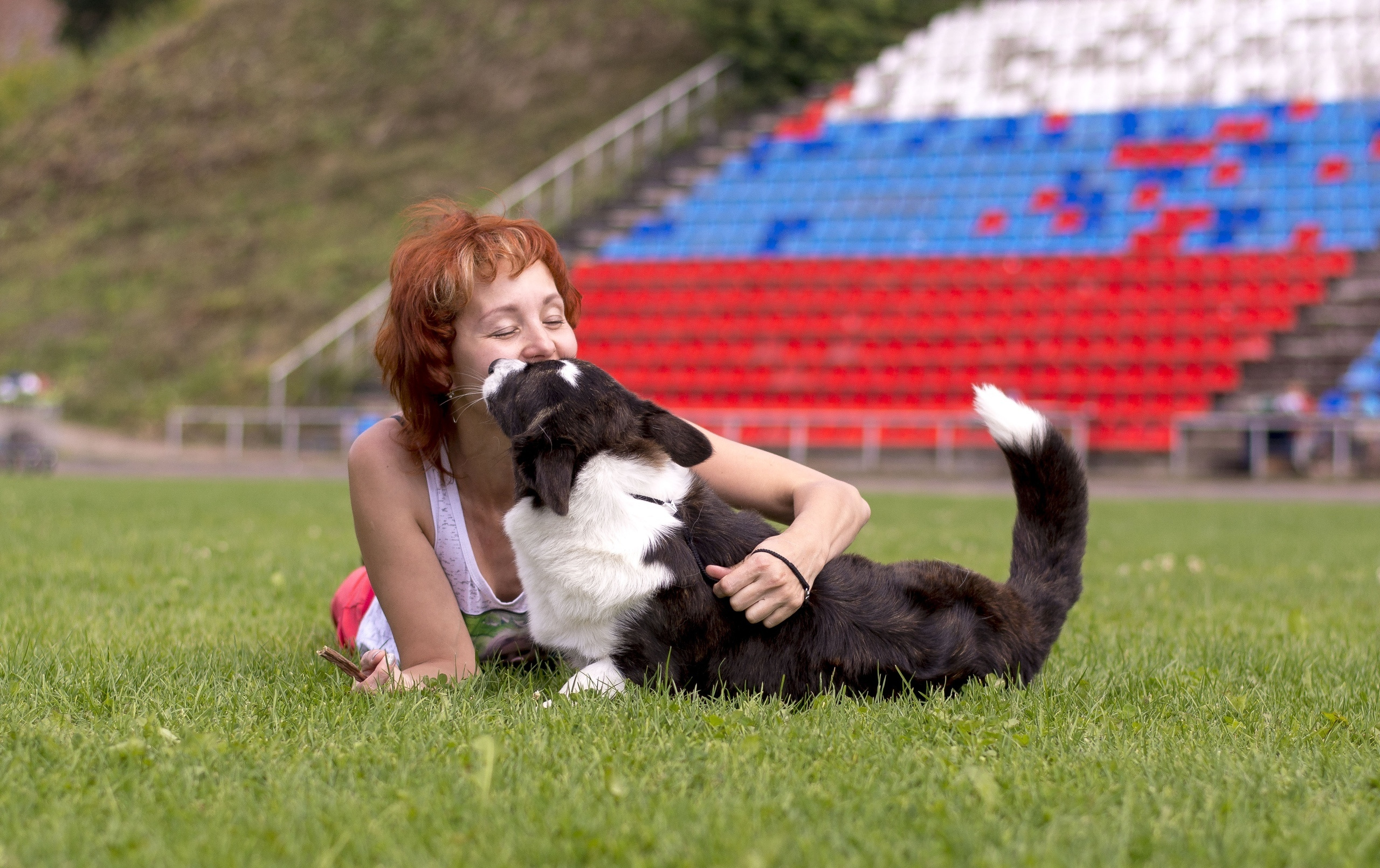 Вельш корги кардиган Ice Fantasy Tinkerbell БЭЛЛА. Купить щенка Вельш-корги-кардиган в семейном питомнике — Ice Fantasy