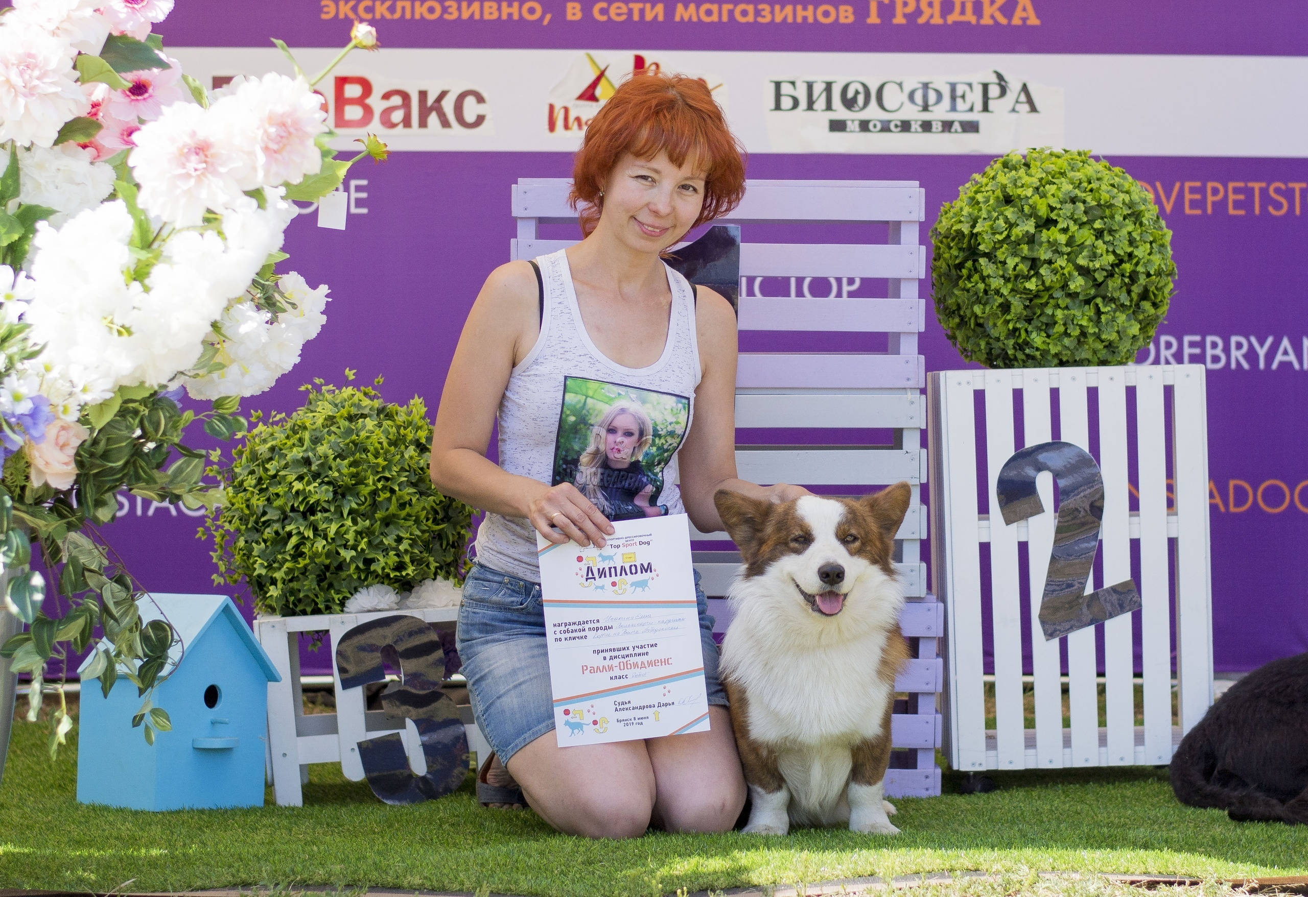 Вельш корги кардиган Corgi Na Volge Pobedonosets ВЕГАС. Ice Fantasy kennel: professional breeding of Siberian huskies and wels