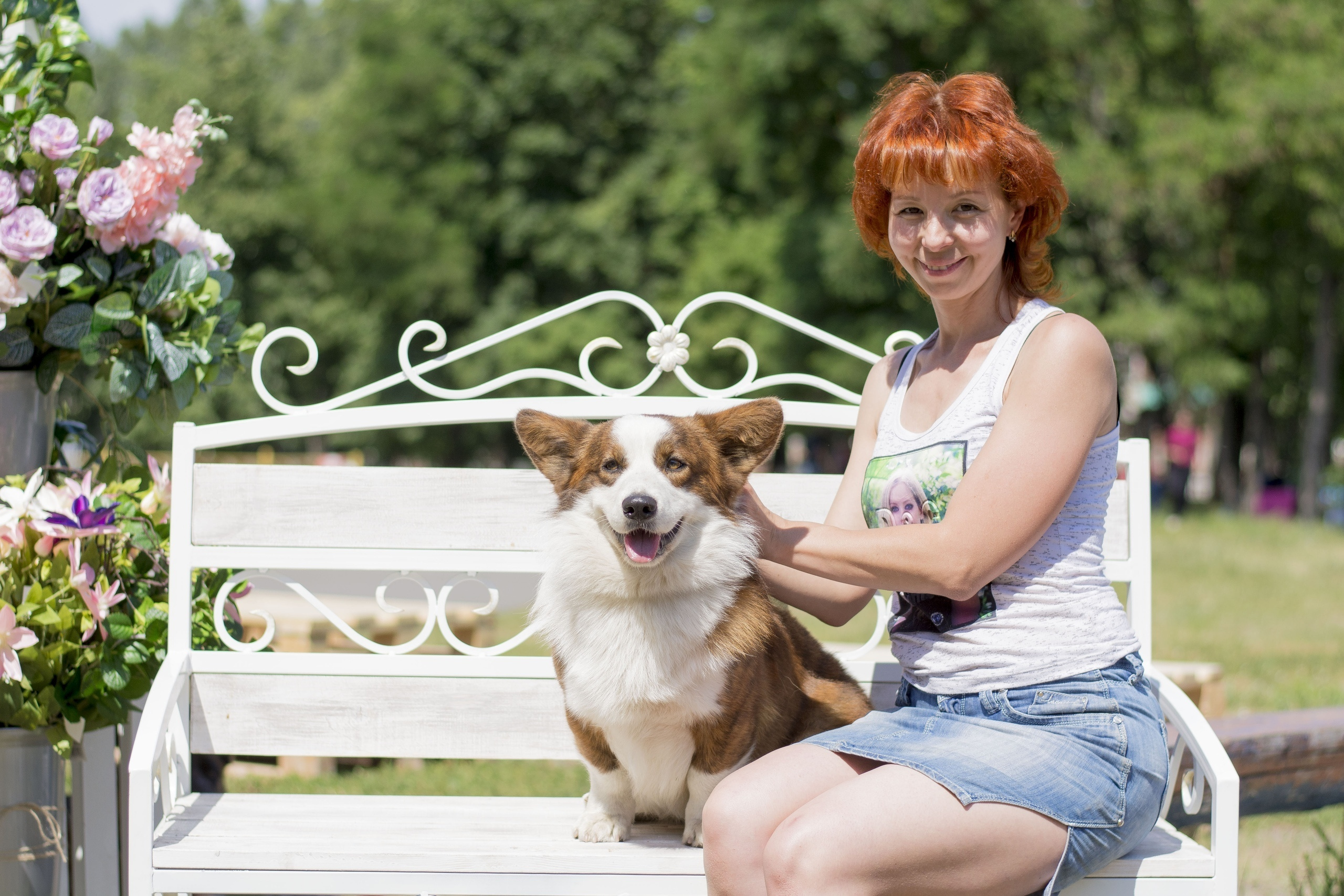 Вельш корги кардиган Corgi Na Volge Pobedonosets ВЕГАС. Ice Fantasy kennel: professional breeding of Siberian huskies and wels