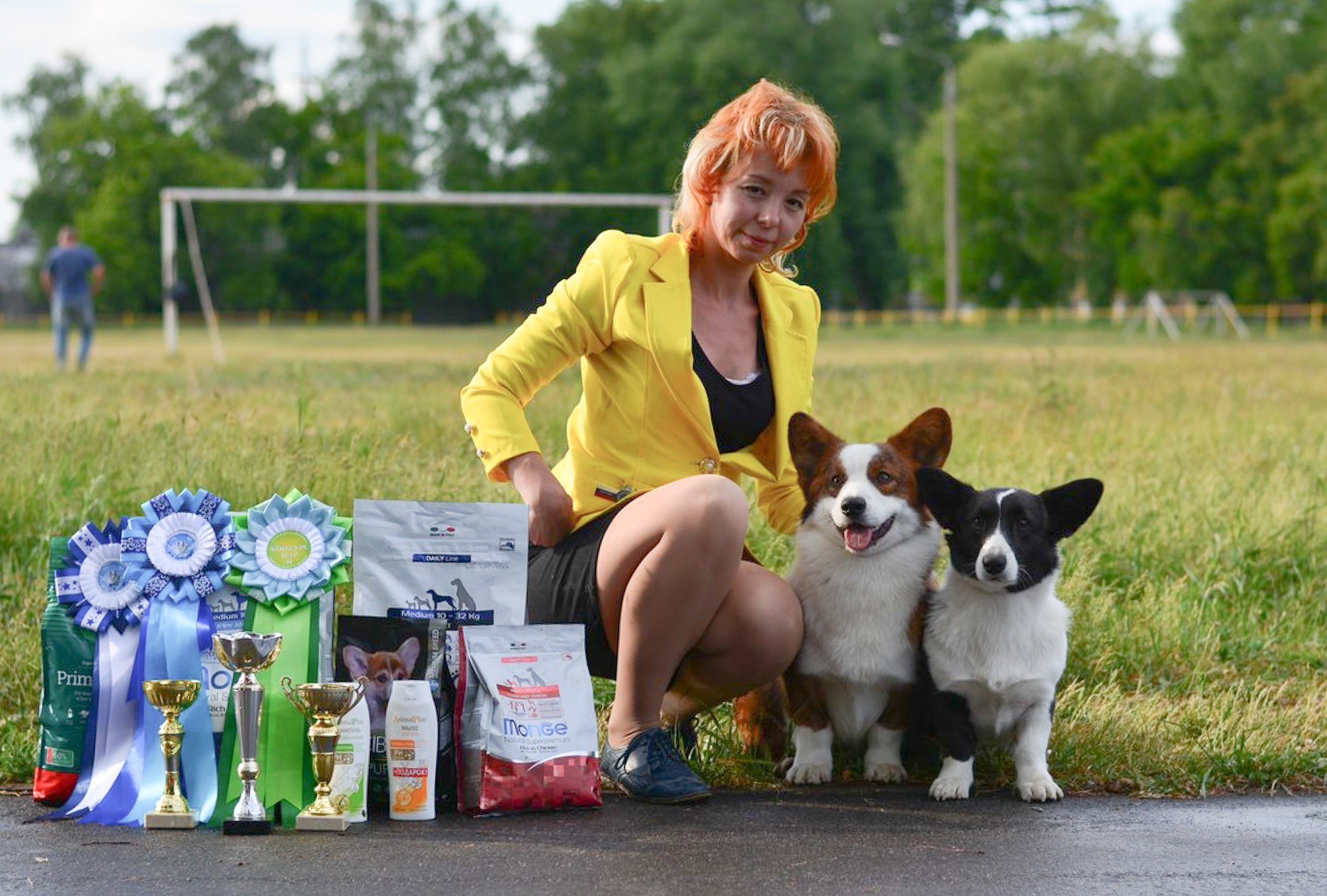 Вельш корги кардиган Ice Fantasy Tinkerbell БЭЛЛА. Купить щенка Вельш-корги-кардиган в семейном питомнике — Ice Fantasy