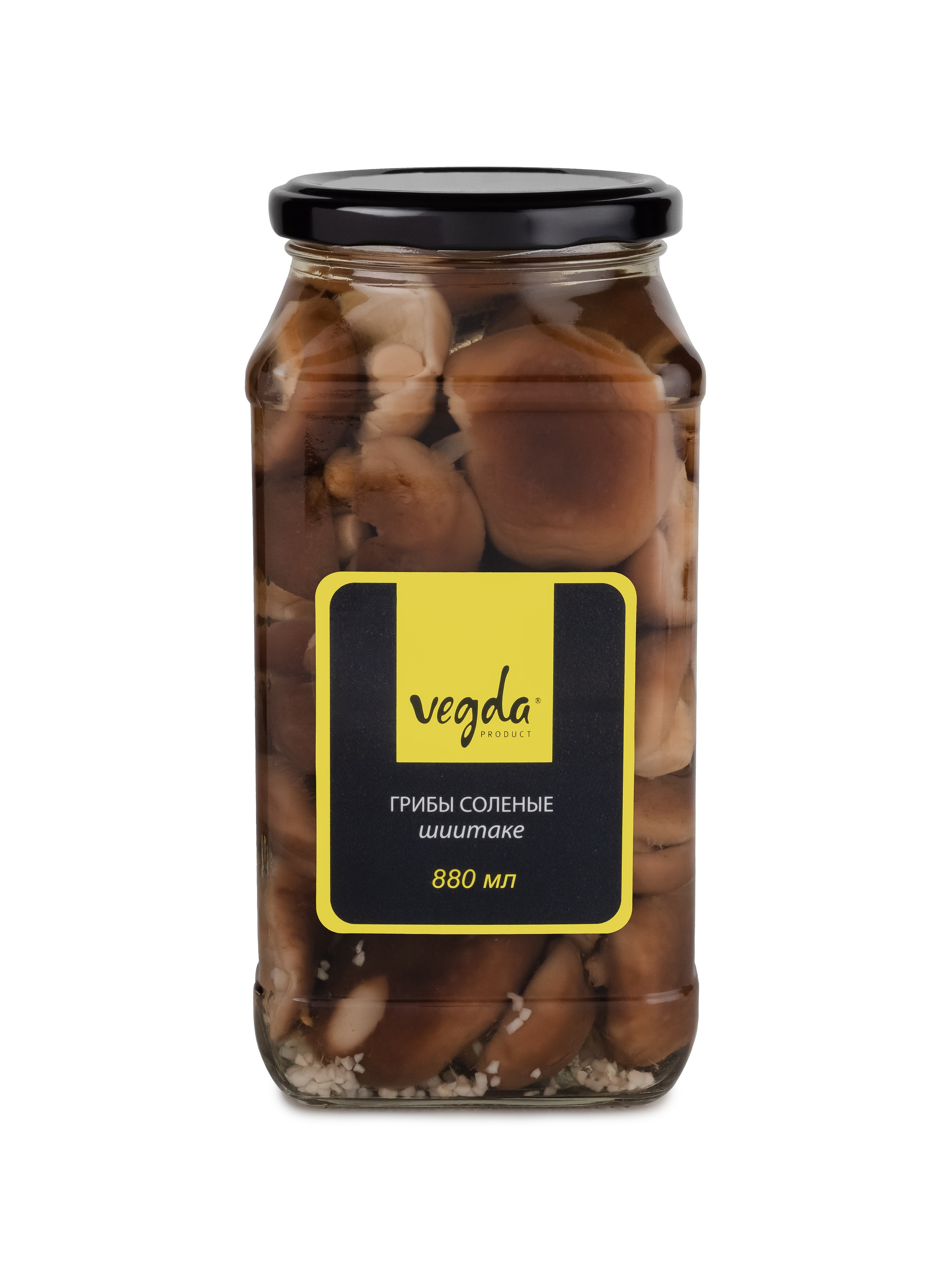 Каталог Vegda. Фотограф и видеограф Виктор Пати