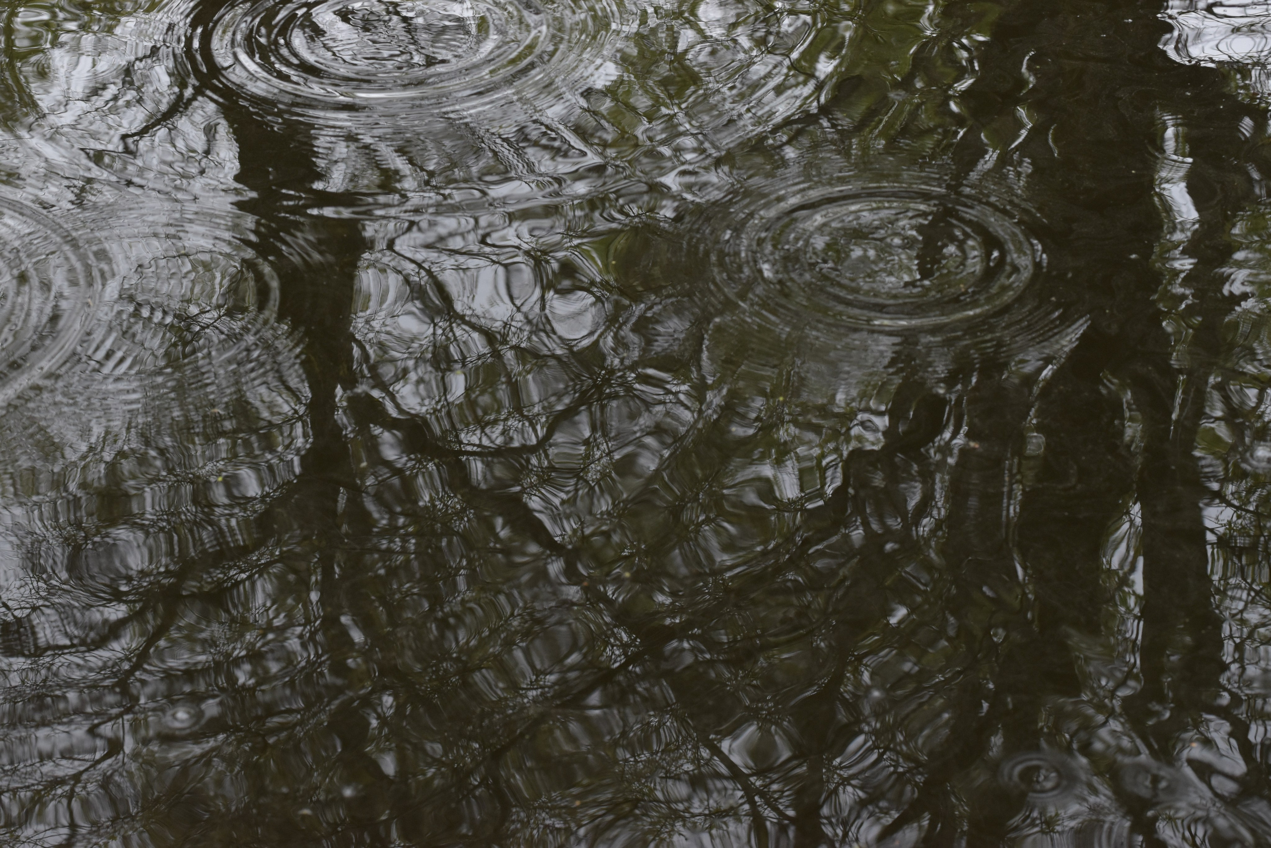 Добрый садовник (в процессе). Микс-медиа художница Надежда Пророкова