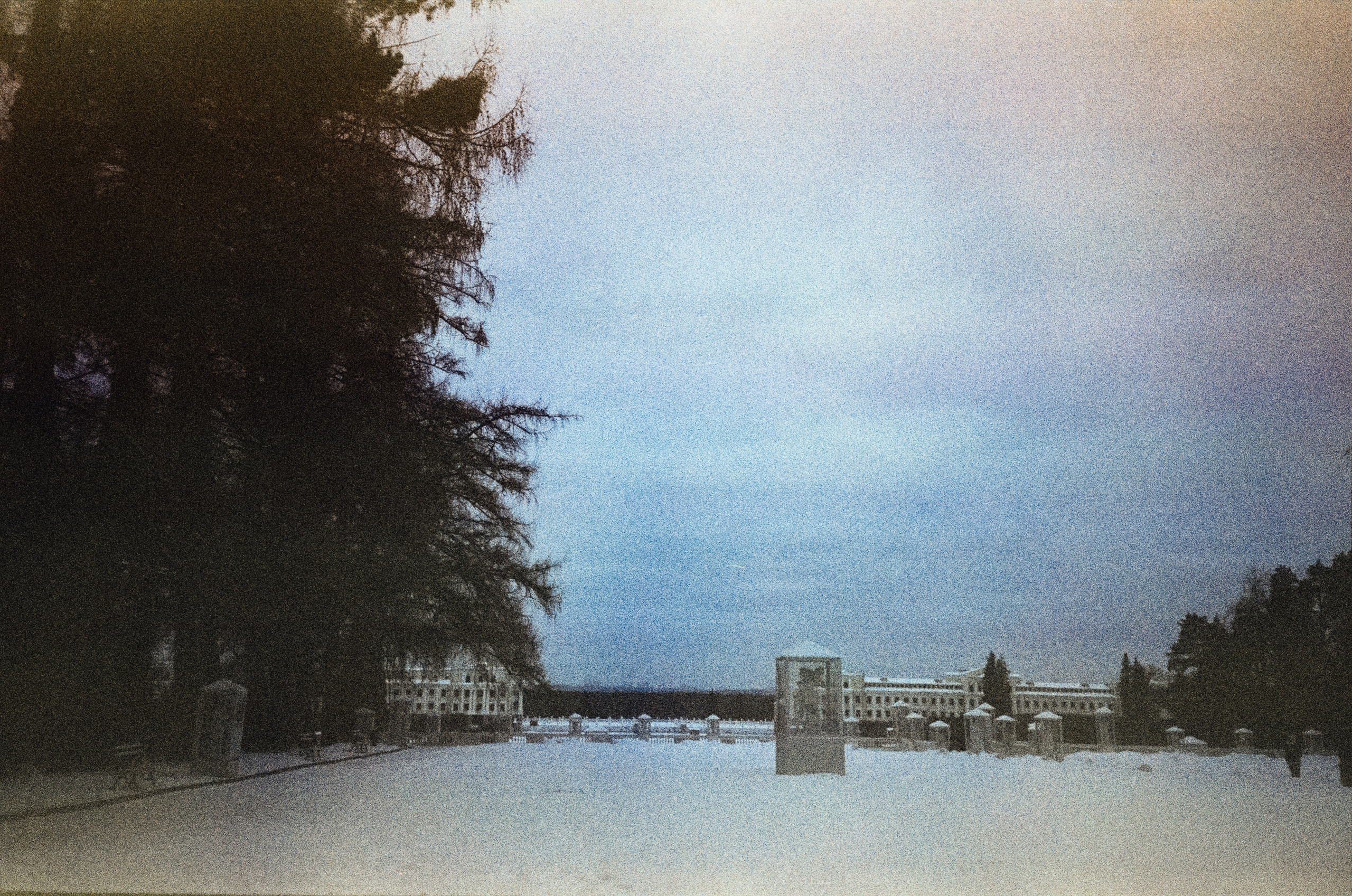 Fujicolor Superia 200 (просрочка) / Cosina CX-1 / 6 января 2025 года Усадьба Архангельское