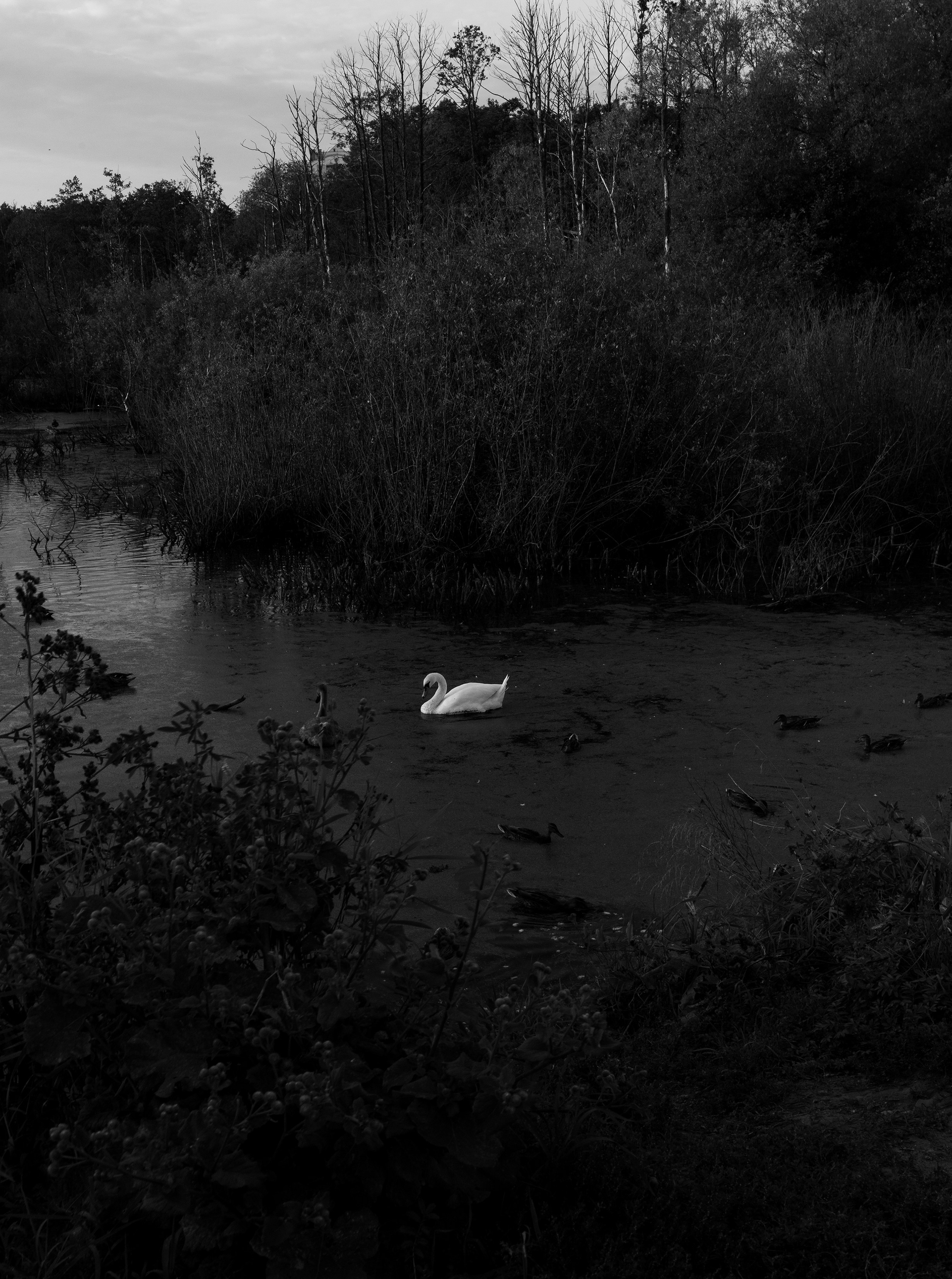 Непокорённая земля. Пылина Ирина — современная фотография