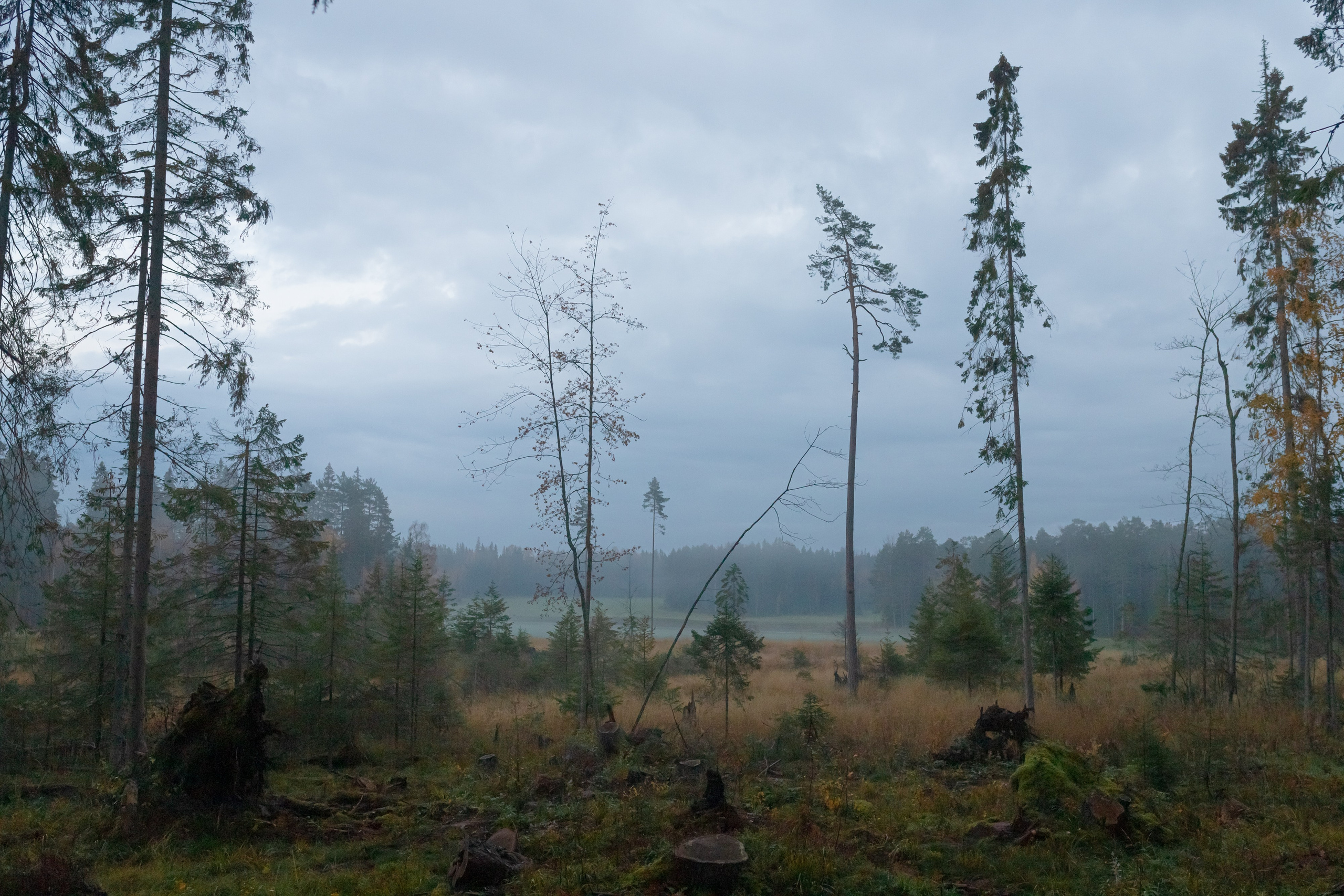 The High Land. Katerina Churbakova | Documentary photographer