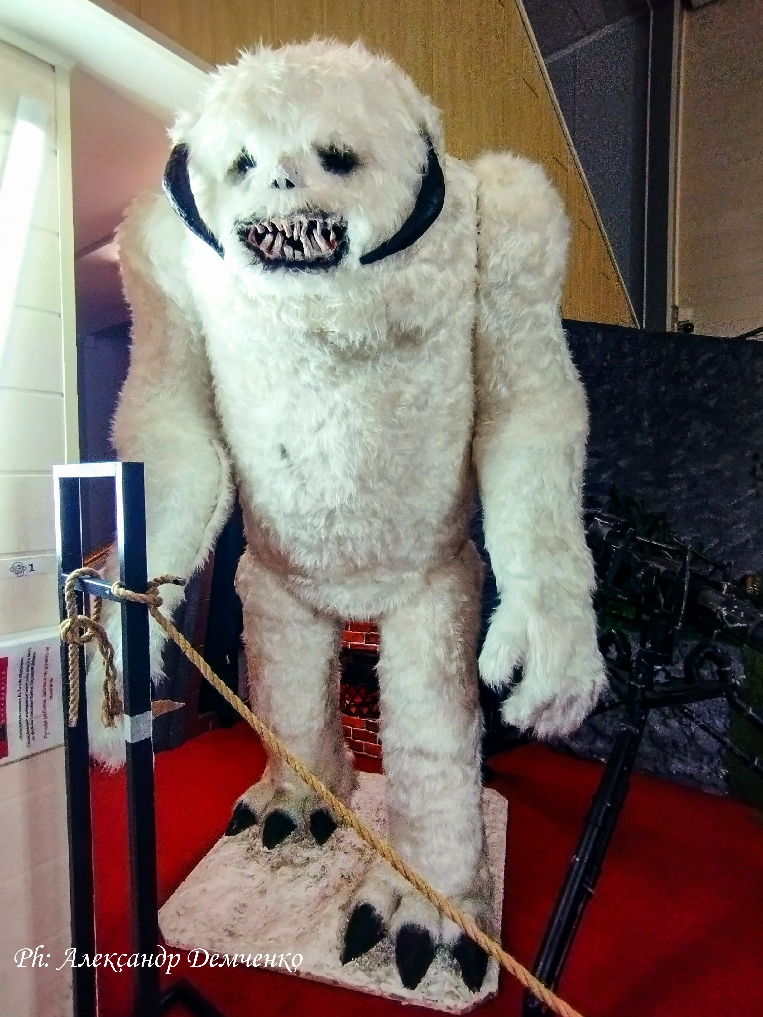 Фотосессия в музее Звездные Войны Далёкой Галактике в Москва