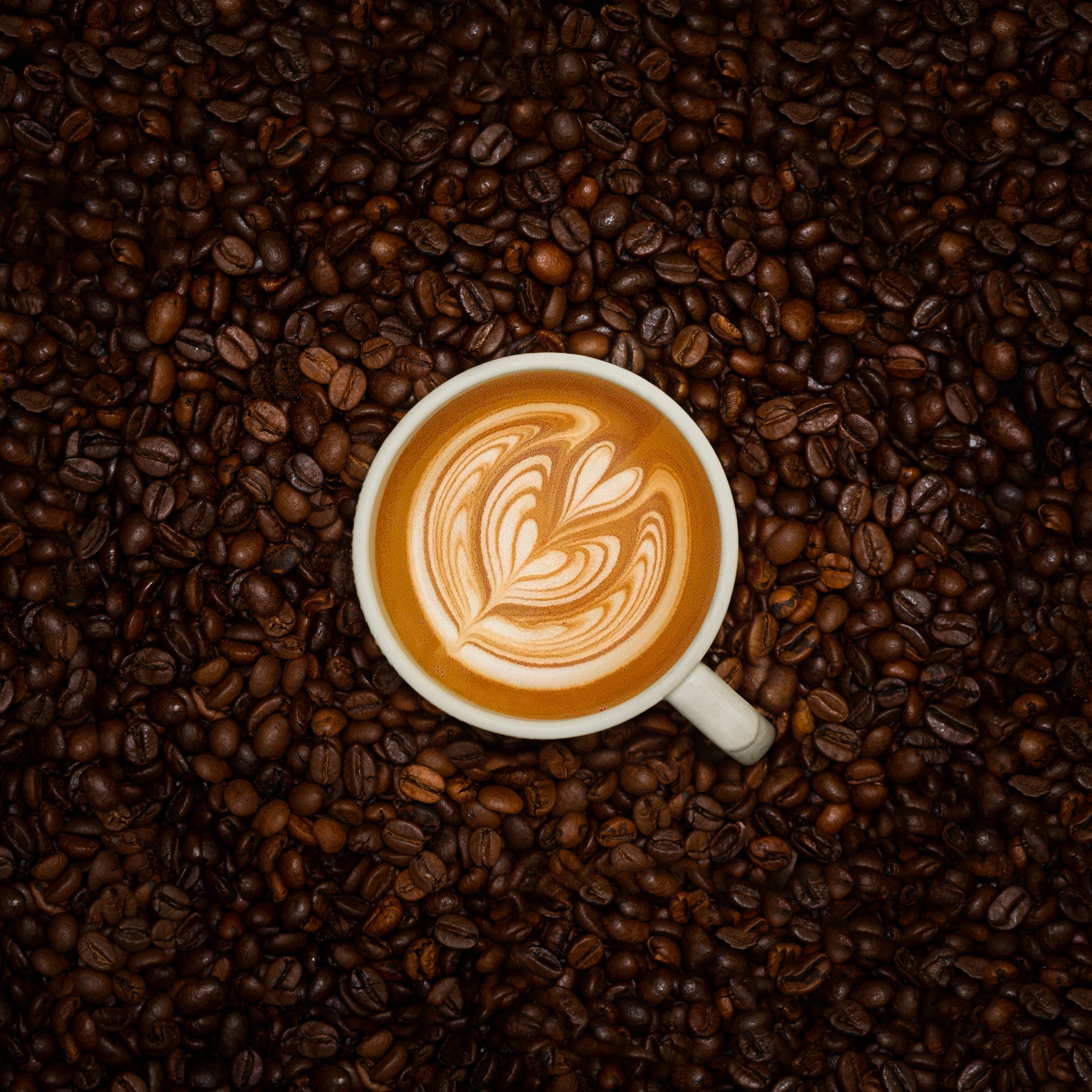 Рекламное портфолио. Профессиональный фотограф Иван Фролов