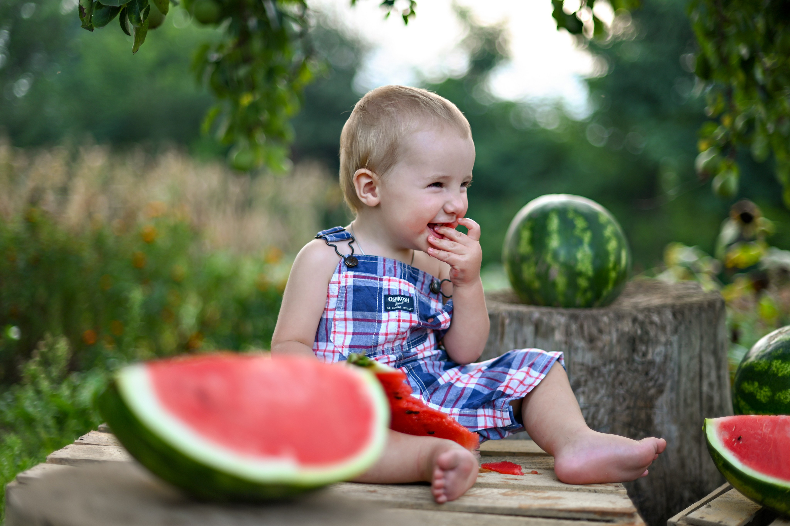 Арбузы. Детский и семейный фотограф г. Москва Оксана Катаджи