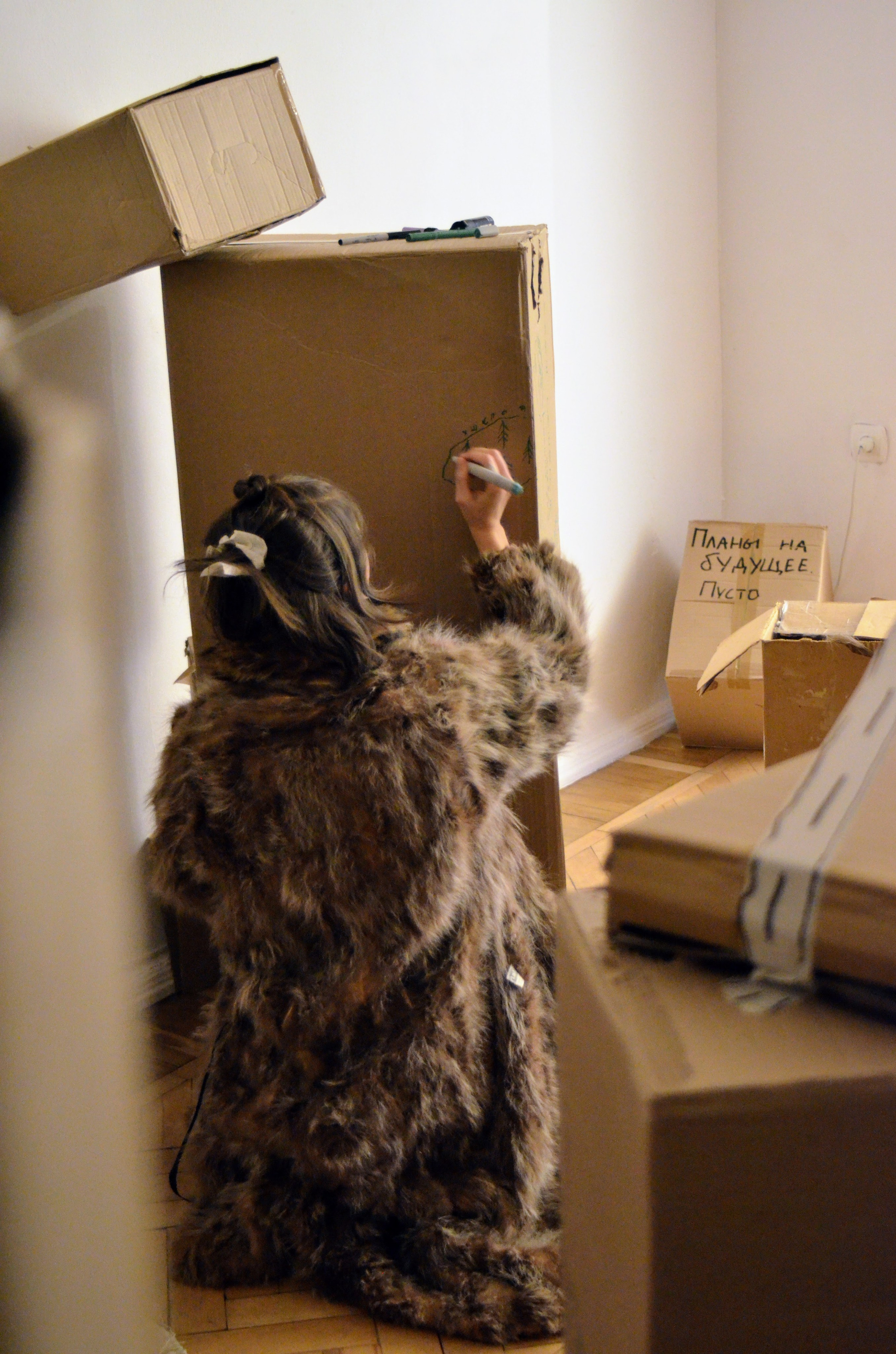 2024 performans “boxes”. Home