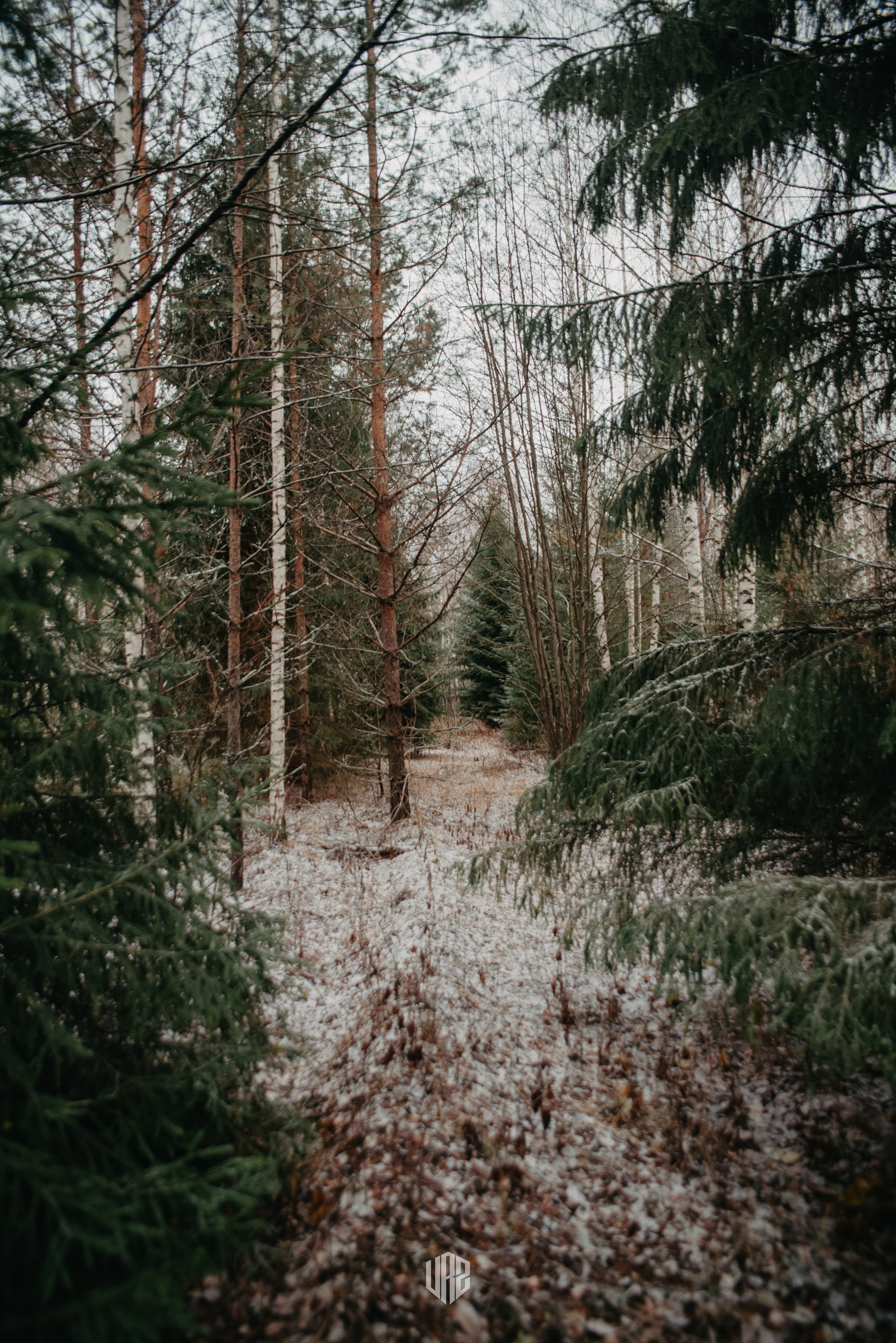 «Затерянное Вятки». Путь на «поющие пески». Контент фотограф Илья Урс