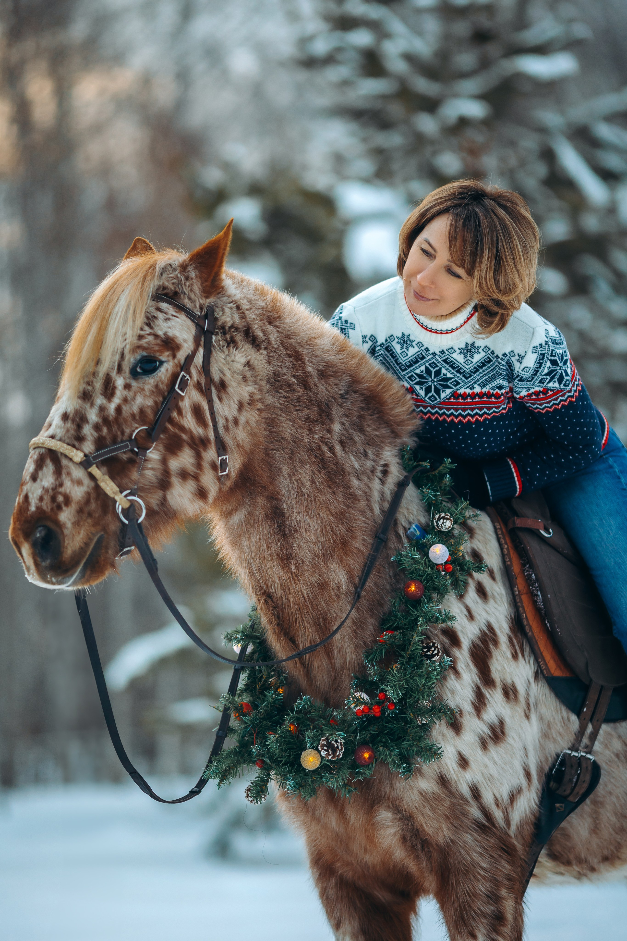 Тариф новогодний 2024. Анна Молчанова конный фотограф в Тюмени | фотосессии с лошадьми Тюмень