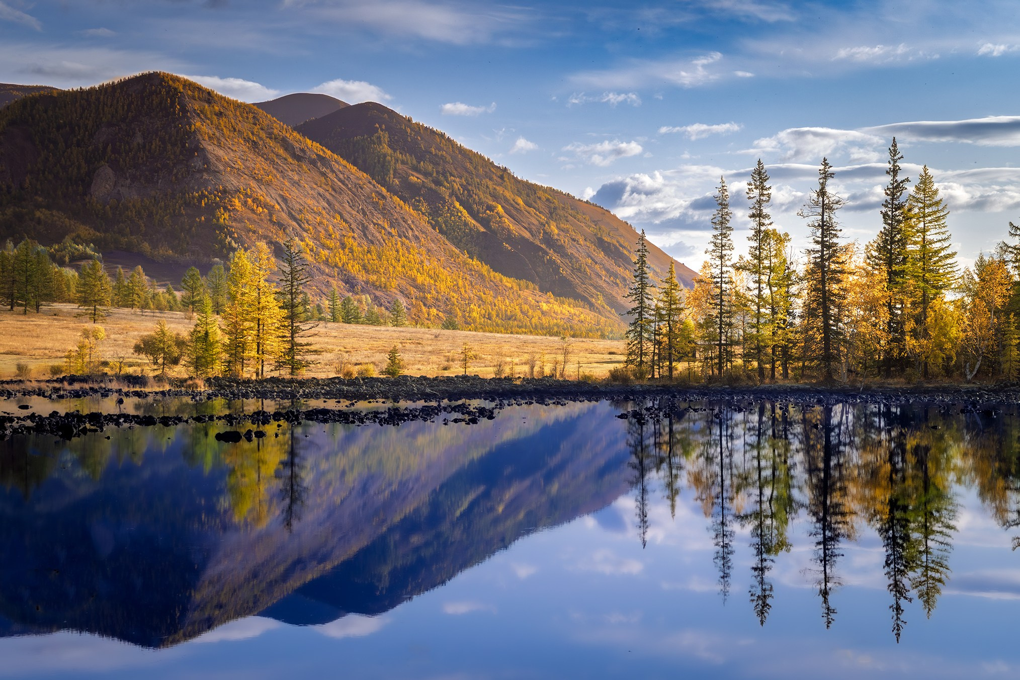 Сибирь. High-quality interior photos for your home, office, hotel