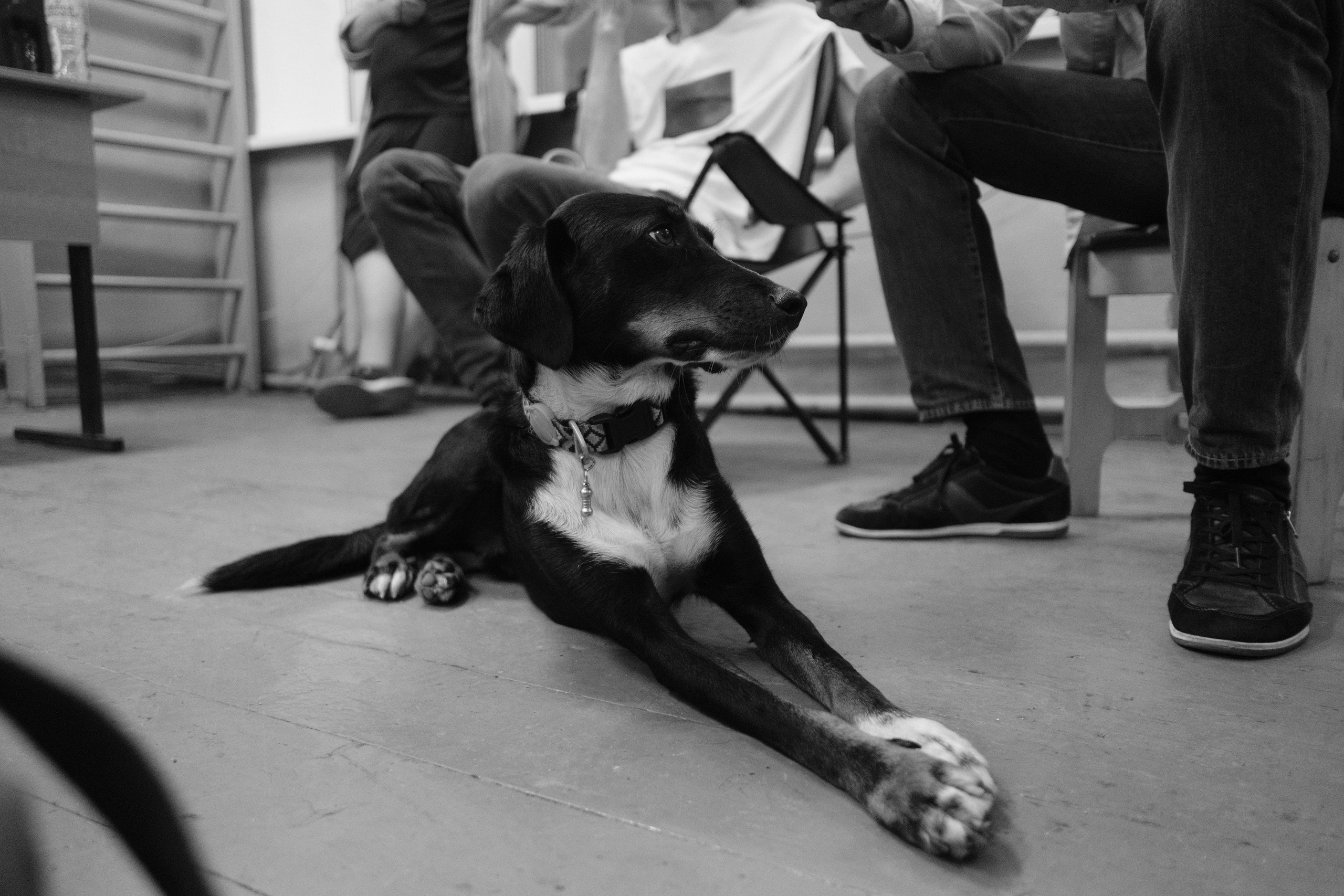 Медынь 12.06.2024. Фотострелка