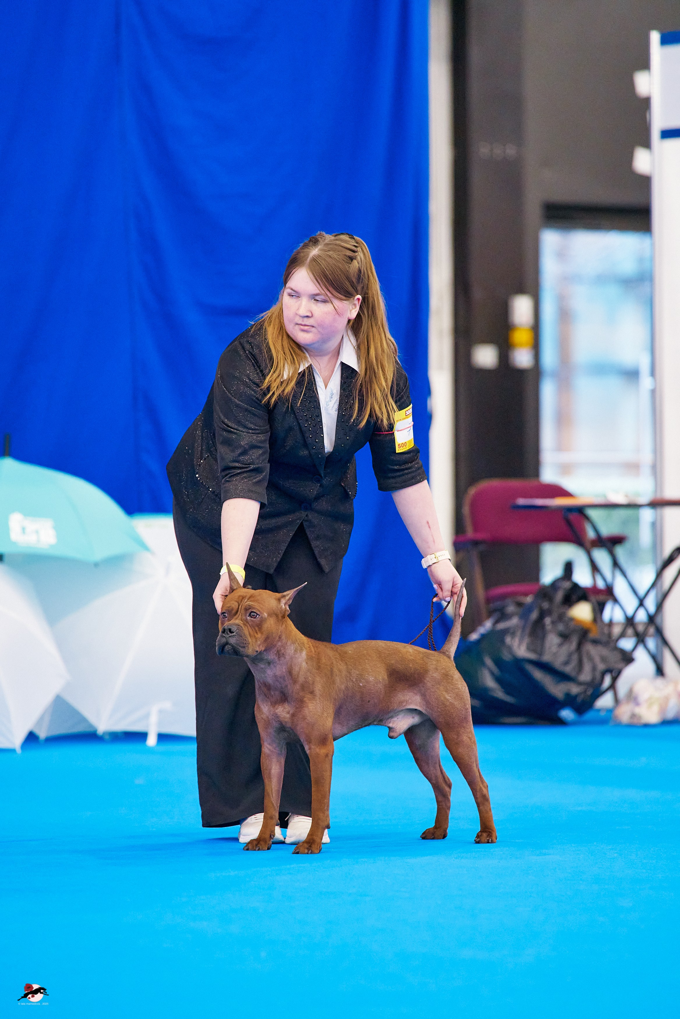 ГРАН ПРИ «ВЕСЕННИЙ ПЕТЕРБУРГ» & «СУПЕР КУБОК «ЭЛИТЫ»-2025»