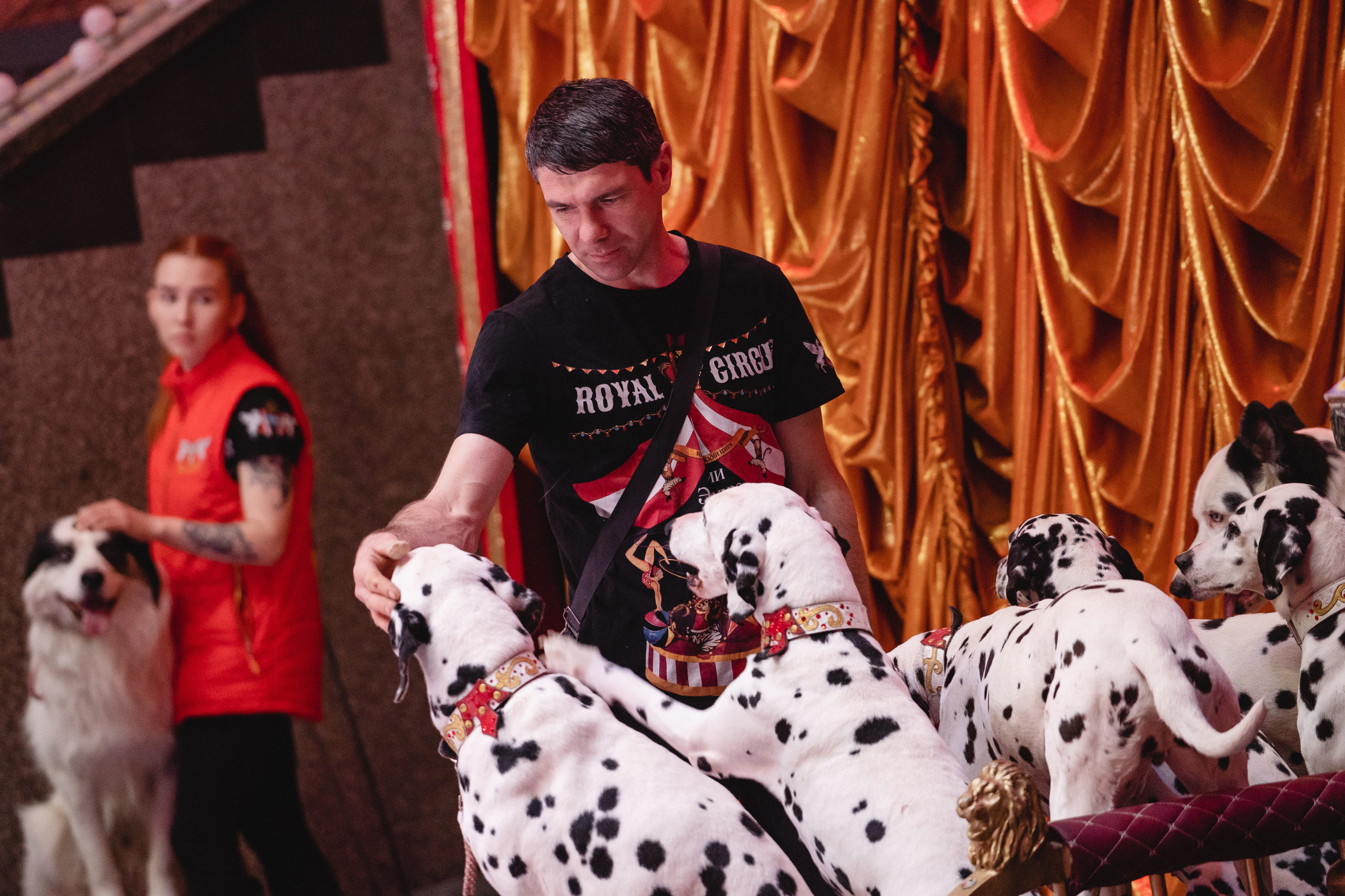 Открытая репетиция Королевского цирка Гии Эрадзе в Новосибирске. Воробьева Ксения — Спортивный и танцевальный фотограф Новосибирск