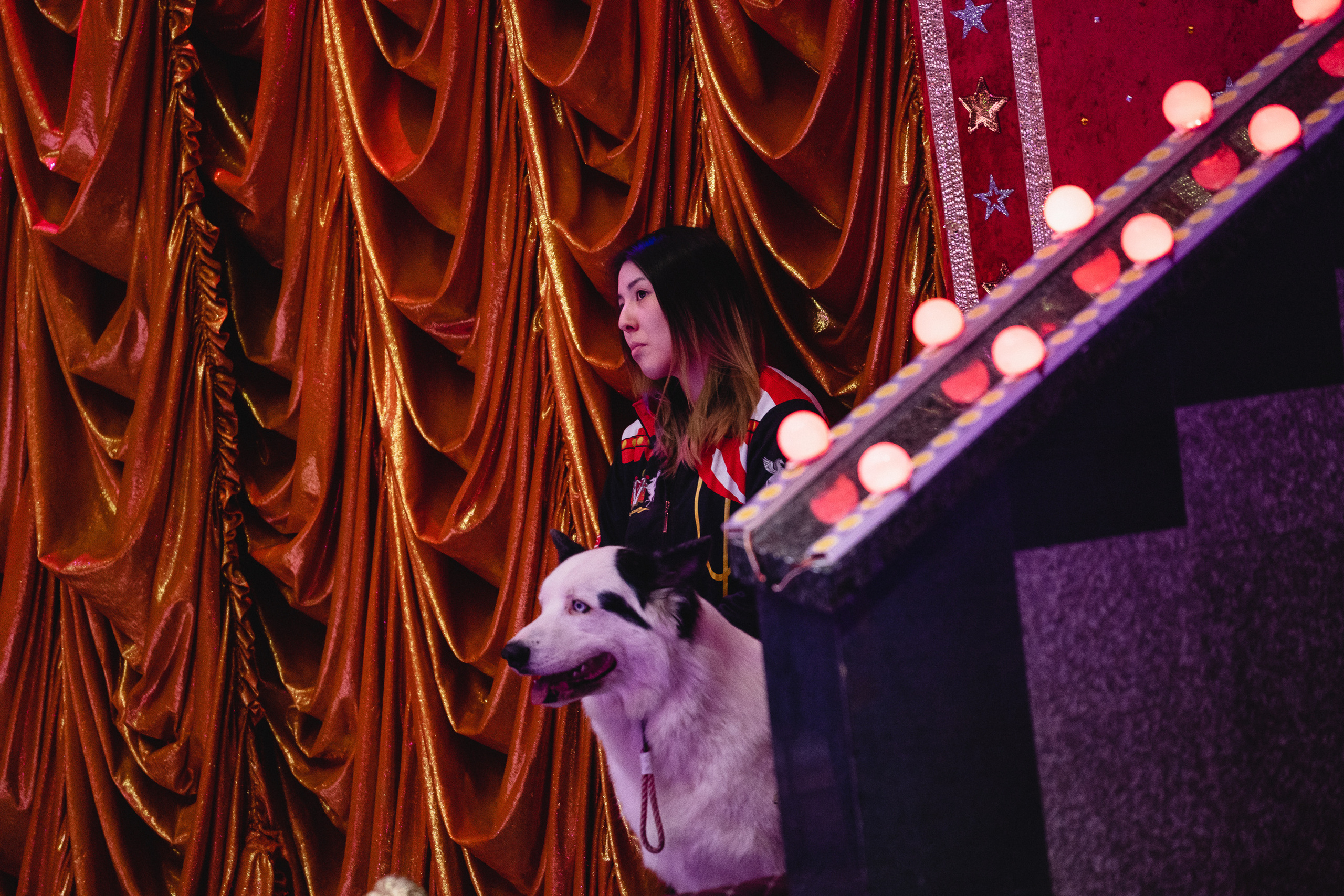 Открытая репетиция Королевского цирка Гии Эрадзе в Новосибирске. Воробьева Ксения — Спортивный и танцевальный фотограф Новосибирск