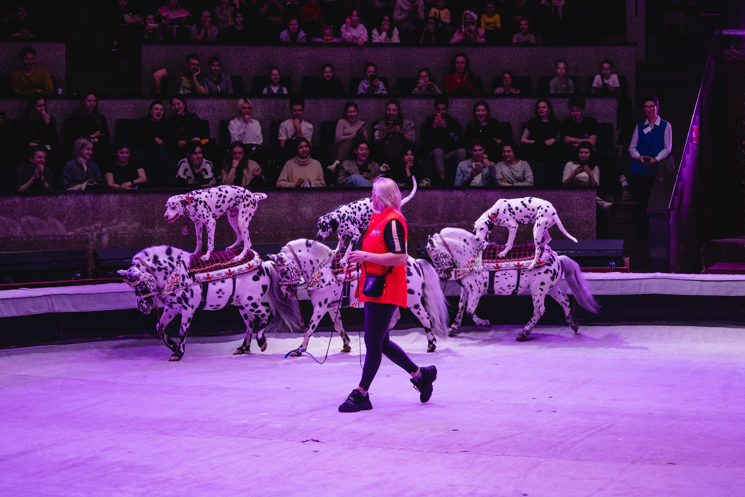 Открытая репетиция Королевского цирка Гии Эрадзе в Новосибирске. Воробьева Ксения — Спортивный и танцевальный фотограф Новосибирск