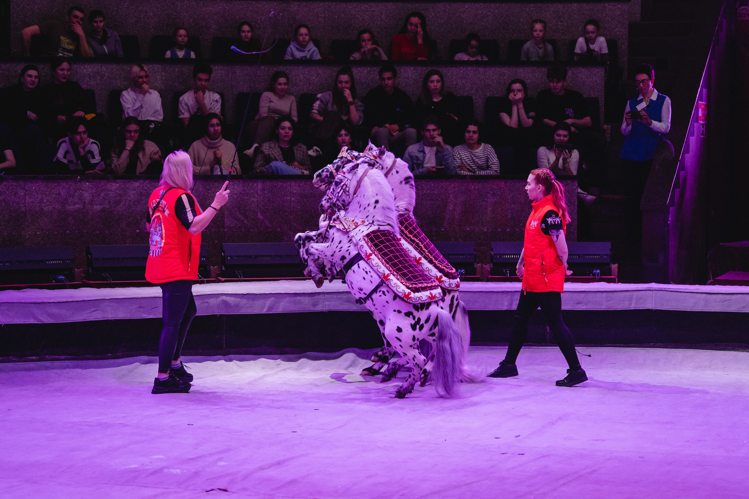 Открытая репетиция Королевского цирка Гии Эрадзе в Новосибирске. Воробьева Ксения — Спортивный и танцевальный фотограф Новосибирск