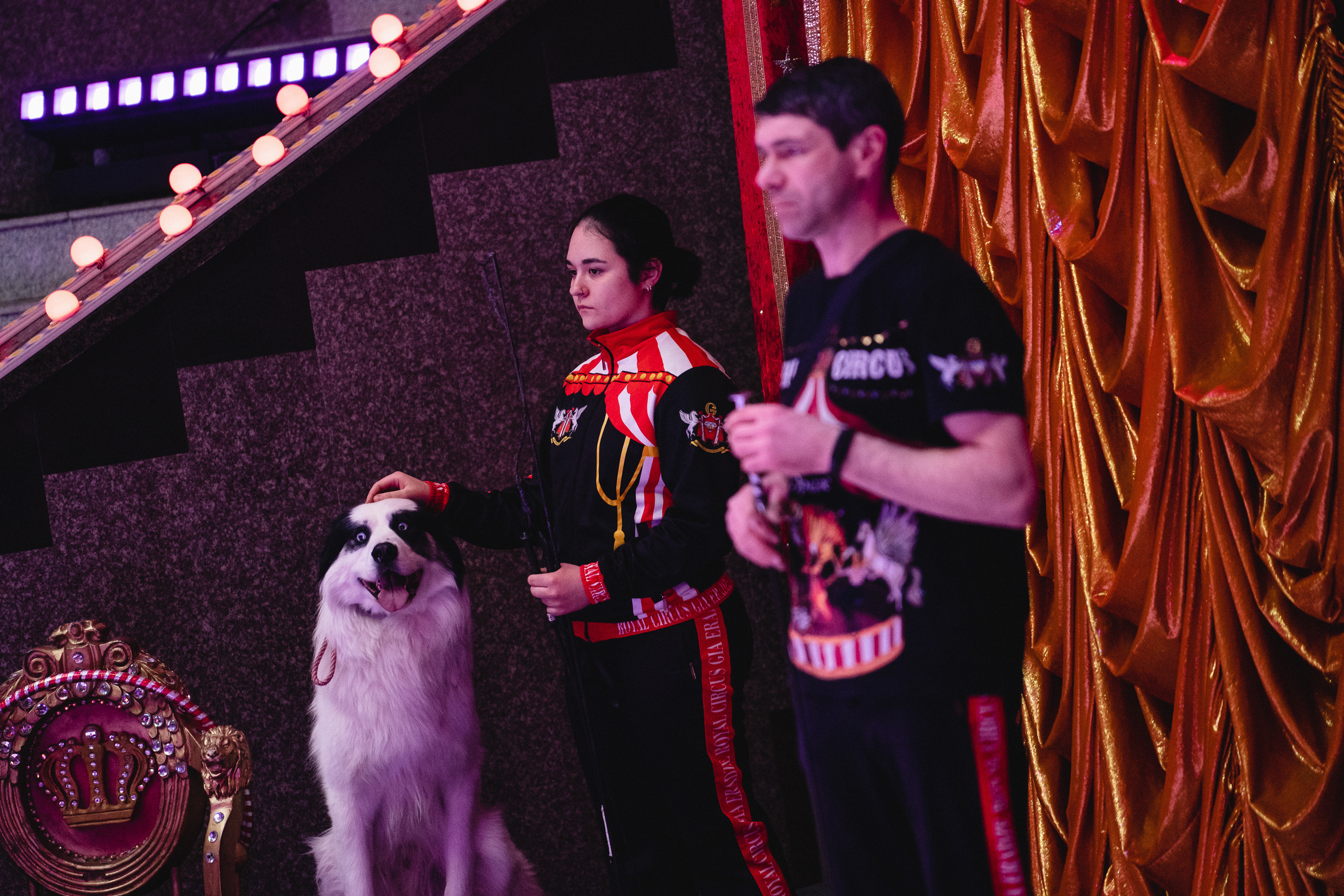 Открытая репетиция Королевского цирка Гии Эрадзе в Новосибирске. Воробьева Ксения — Спортивный и танцевальный фотограф Новосибирск