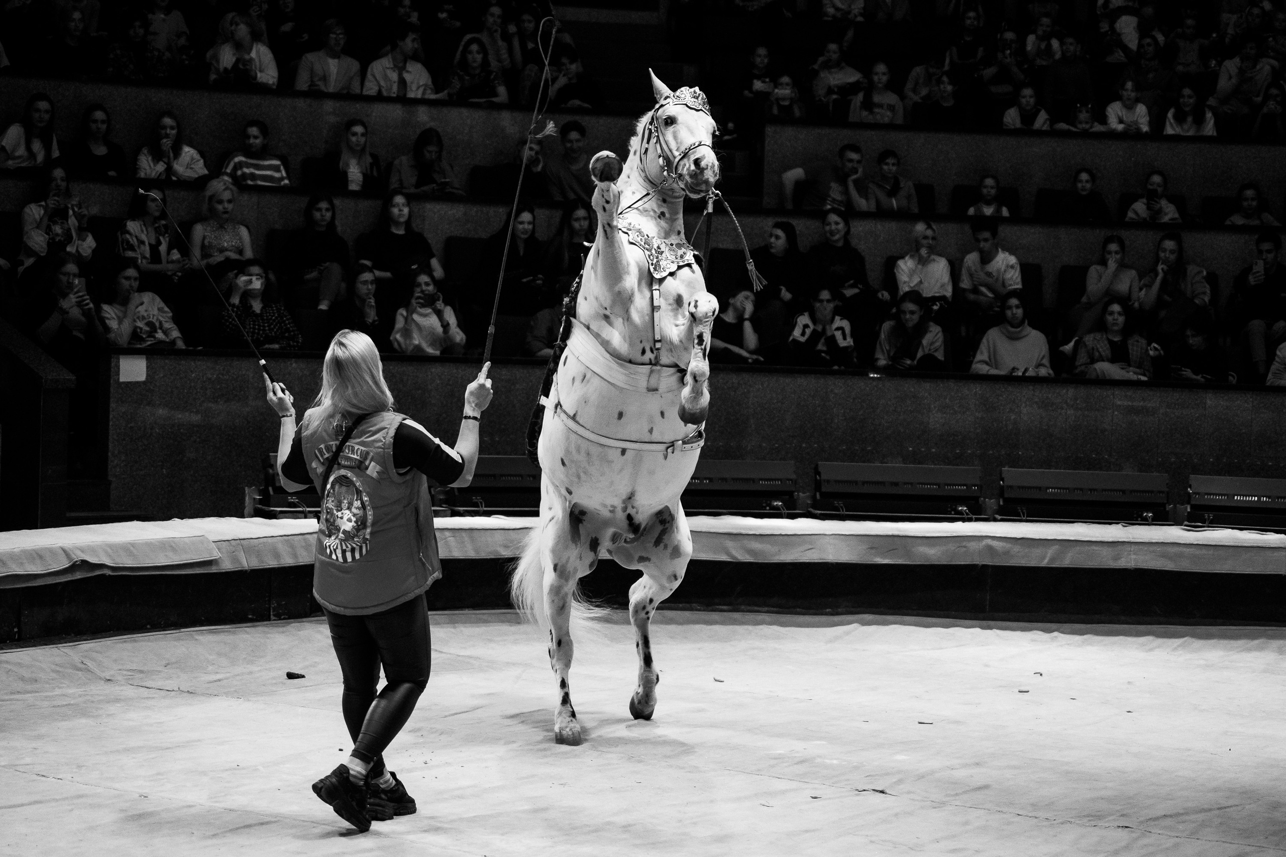 Открытая репетиция Королевского цирка Гии Эрадзе в Новосибирске. Воробьева Ксения — Спортивный и танцевальный фотограф Новосибирск