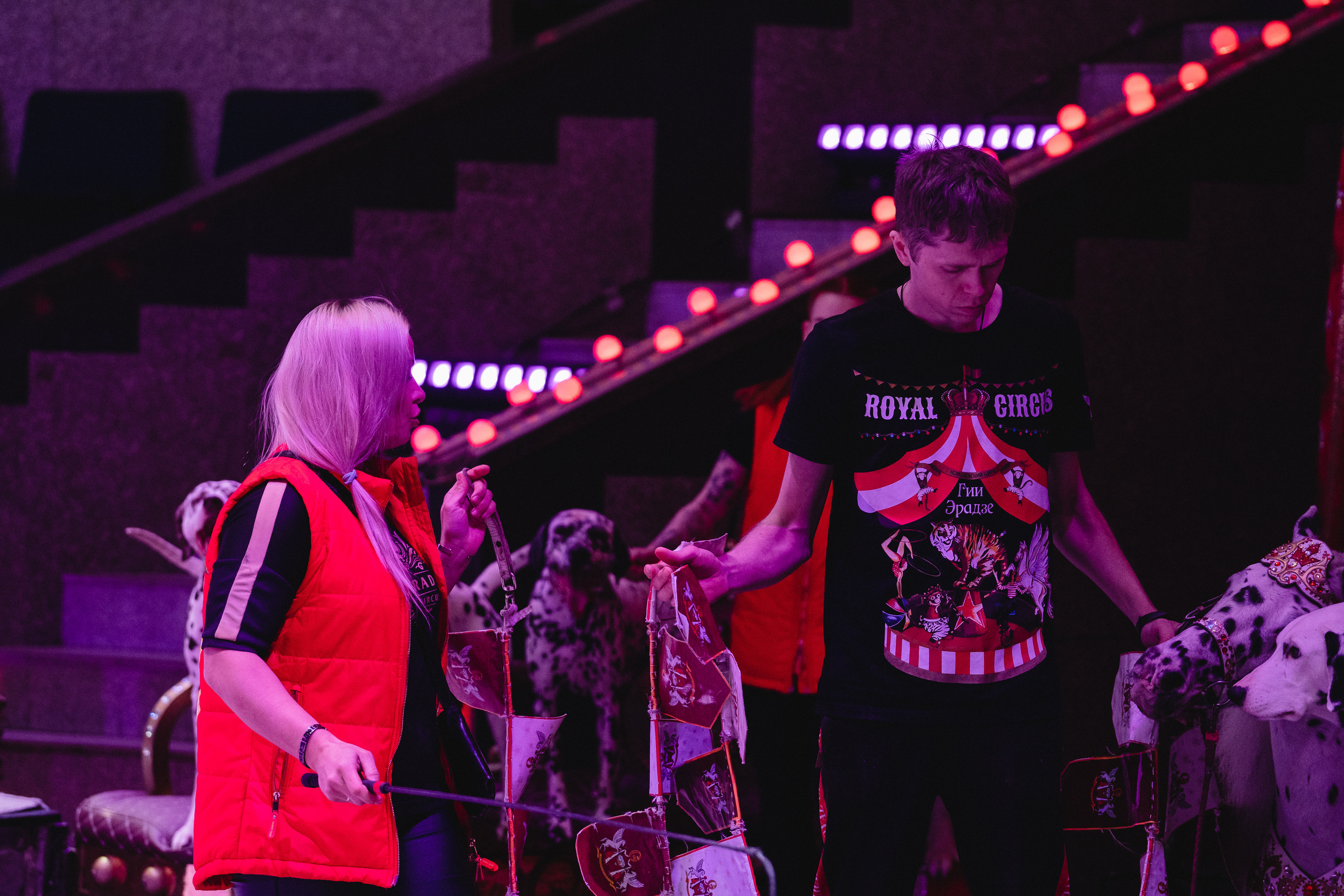 Открытая репетиция Королевского цирка Гии Эрадзе в Новосибирске. Воробьева Ксения — Спортивный и танцевальный фотограф Новосибирск