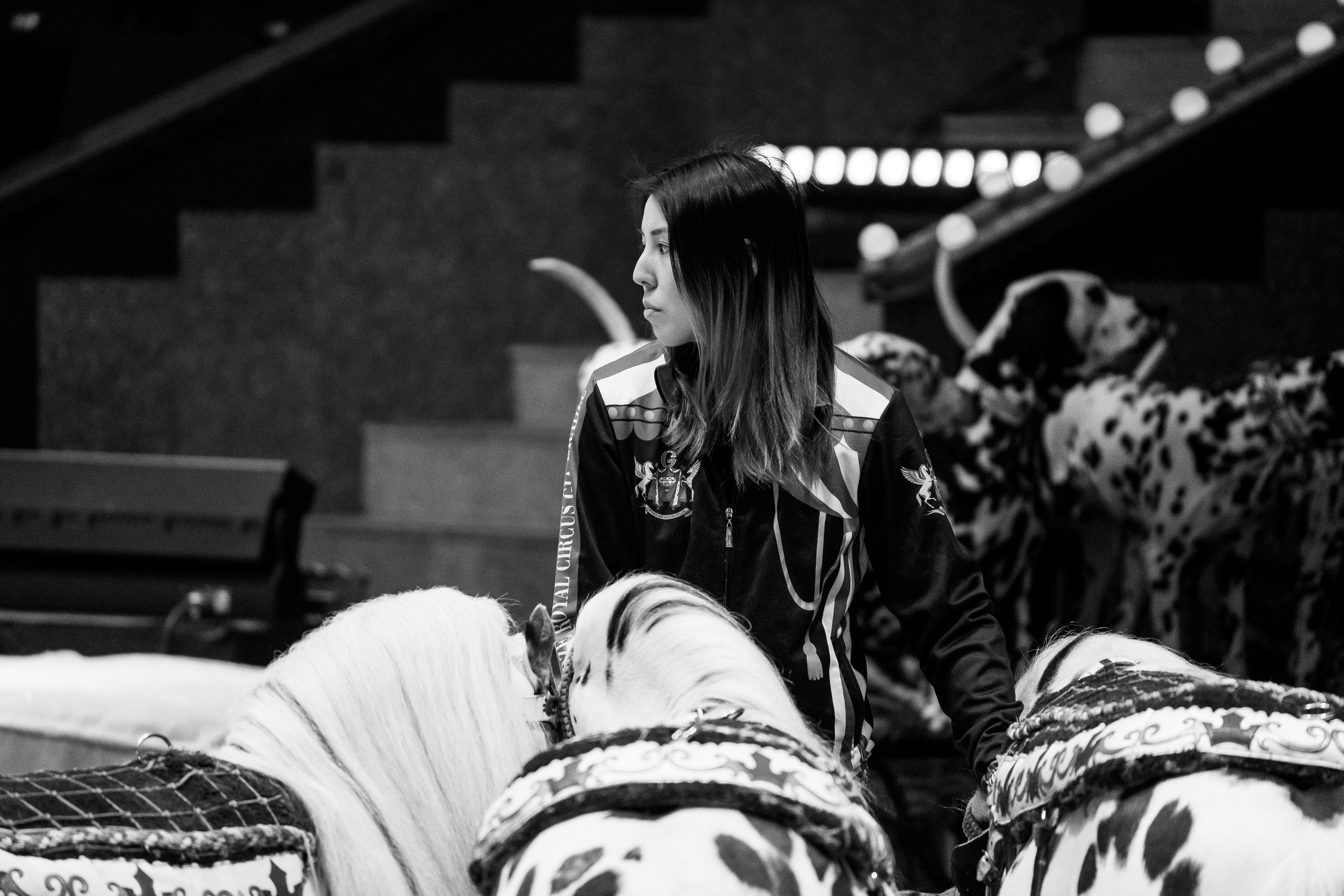 Открытая репетиция Королевского цирка Гии Эрадзе в Новосибирске. Воробьева Ксения — Спортивный и танцевальный фотограф Новосибирск