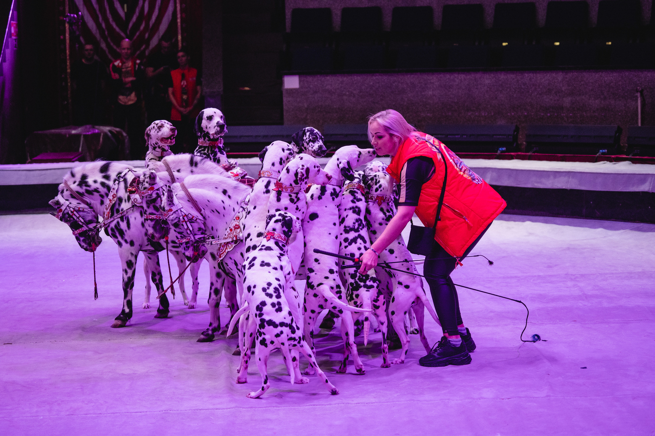 Открытая репетиция Королевского цирка Гии Эрадзе в Новосибирске. Воробьева Ксения — Спортивный и танцевальный фотограф Новосибирск