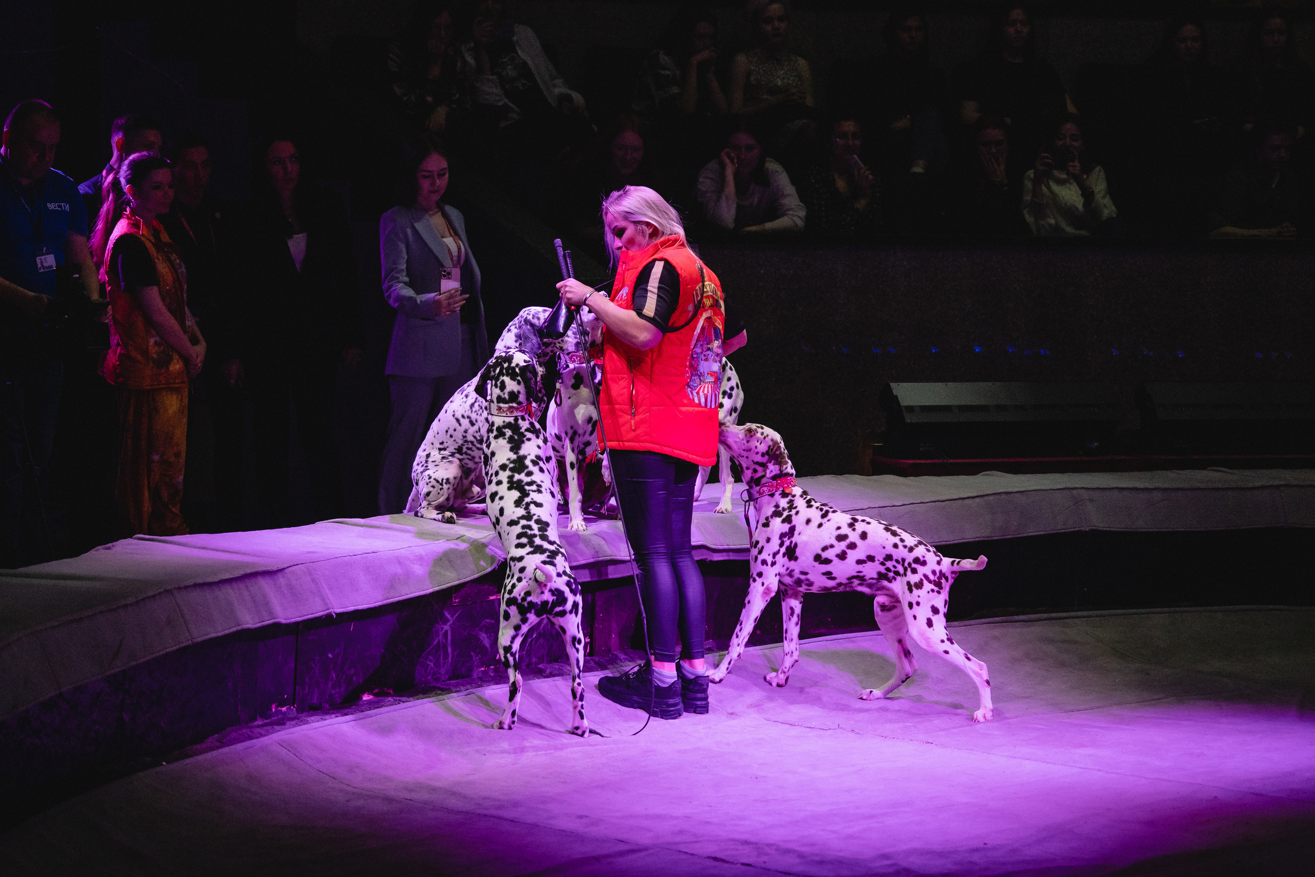 Открытая репетиция Королевского цирка Гии Эрадзе в Новосибирске. Воробьева Ксения — Спортивный и танцевальный фотограф Новосибирск
