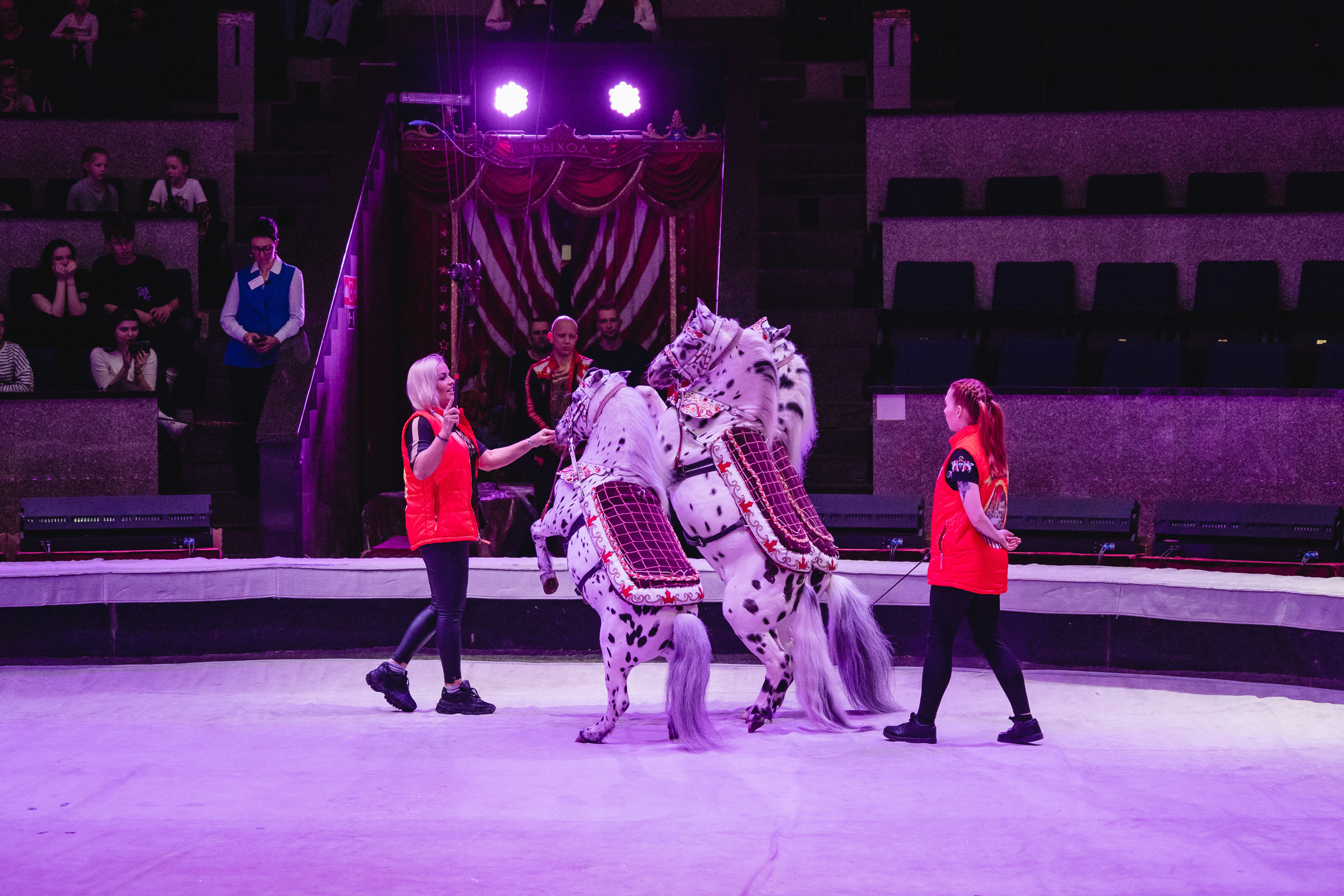 Открытая репетиция Королевского цирка Гии Эрадзе в Новосибирске. Воробьева Ксения — Спортивный и танцевальный фотограф Новосибирск