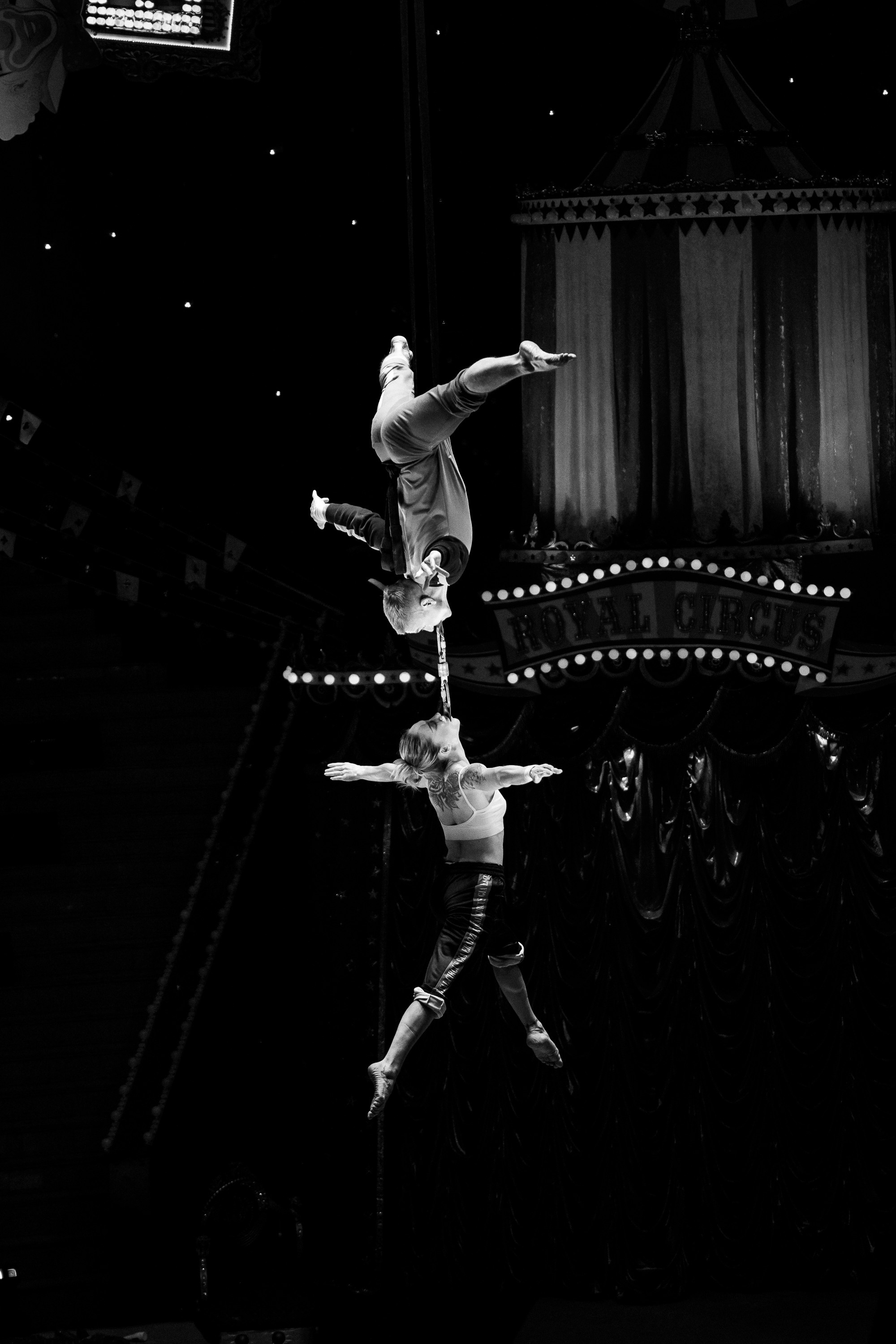Открытая репетиция Королевского цирка Гии Эрадзе в Новосибирске. Воробьева Ксения — Спортивный и танцевальный фотограф Новосибирск