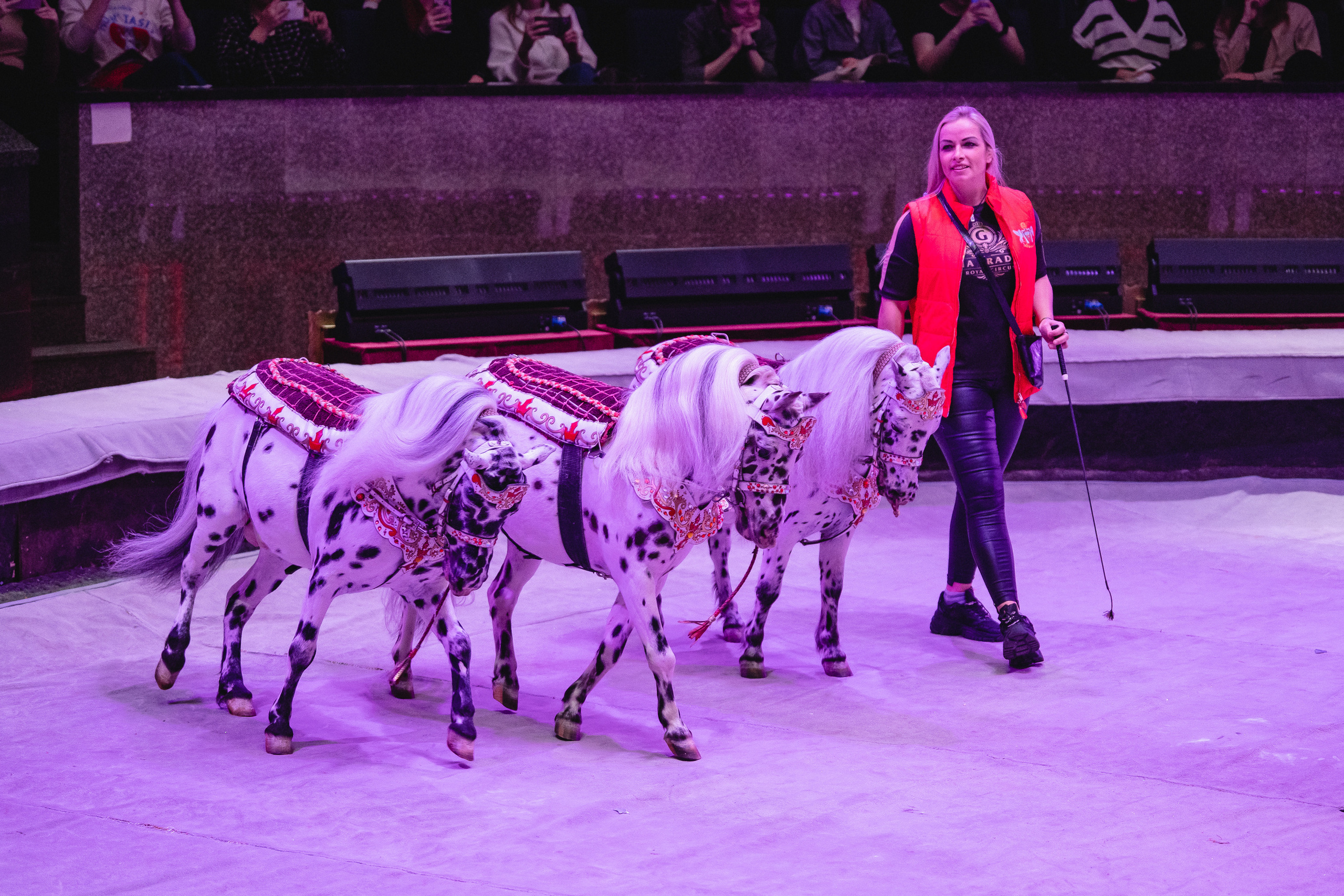 Открытая репетиция Королевского цирка Гии Эрадзе в Новосибирске. Воробьева Ксения — Спортивный и танцевальный фотограф Новосибирск