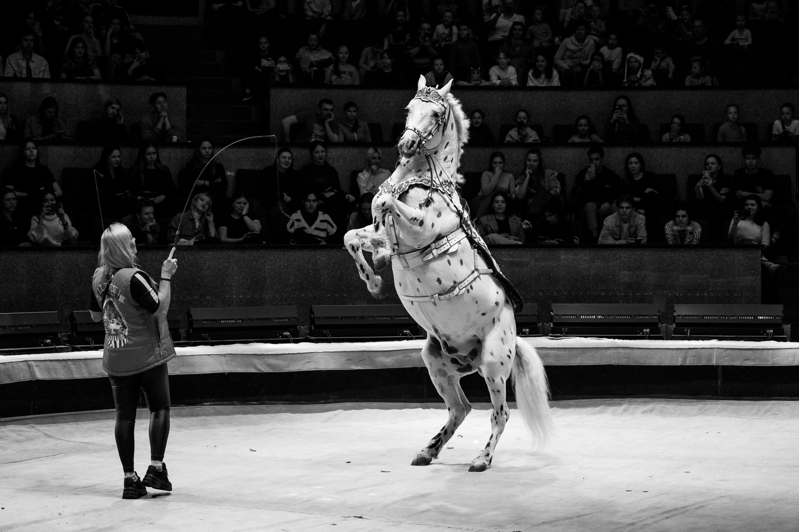 Открытая репетиция Королевского цирка Гии Эрадзе в Новосибирске. Воробьева Ксения — Спортивный и танцевальный фотограф Новосибирск