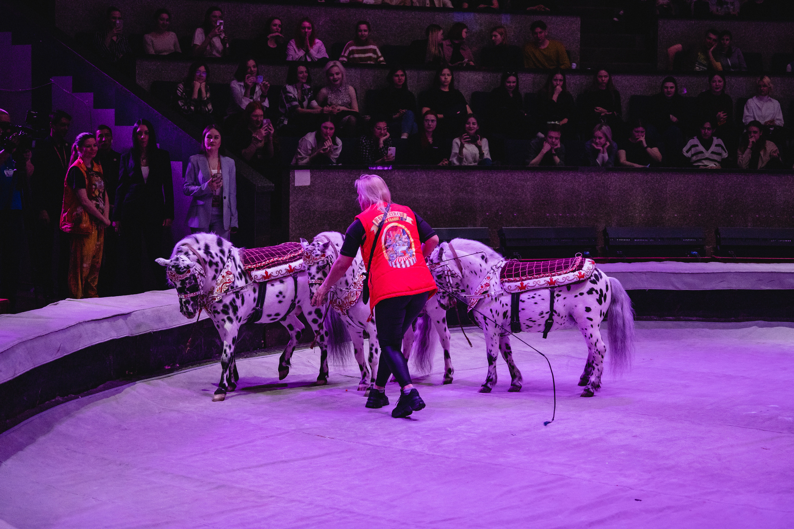 Открытая репетиция Королевского цирка Гии Эрадзе в Новосибирске. Воробьева Ксения — Спортивный и танцевальный фотограф Новосибирск