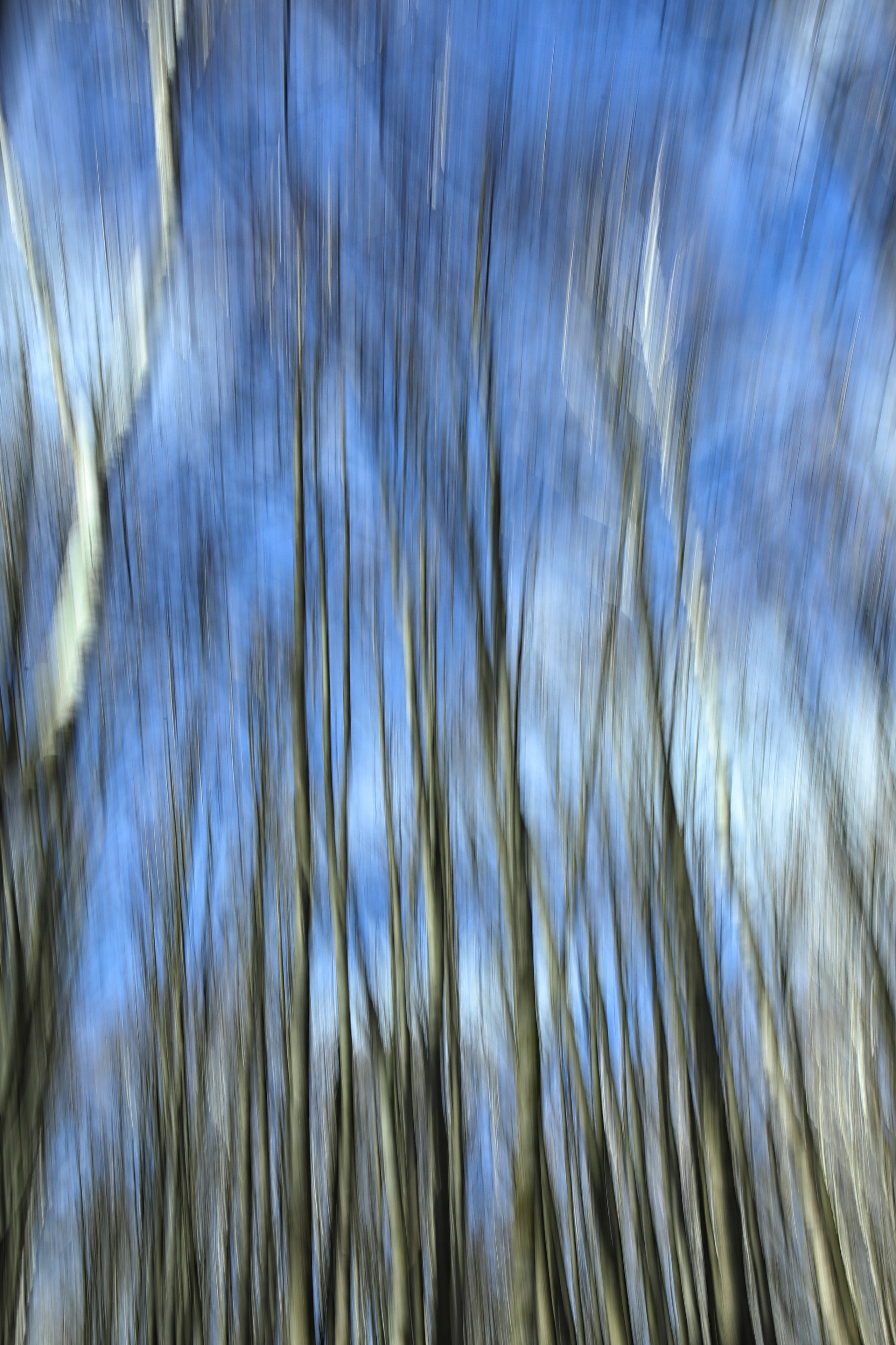 Проект «Здесь и сейчас». Фотограф Наталья Туева FineArt съёмка