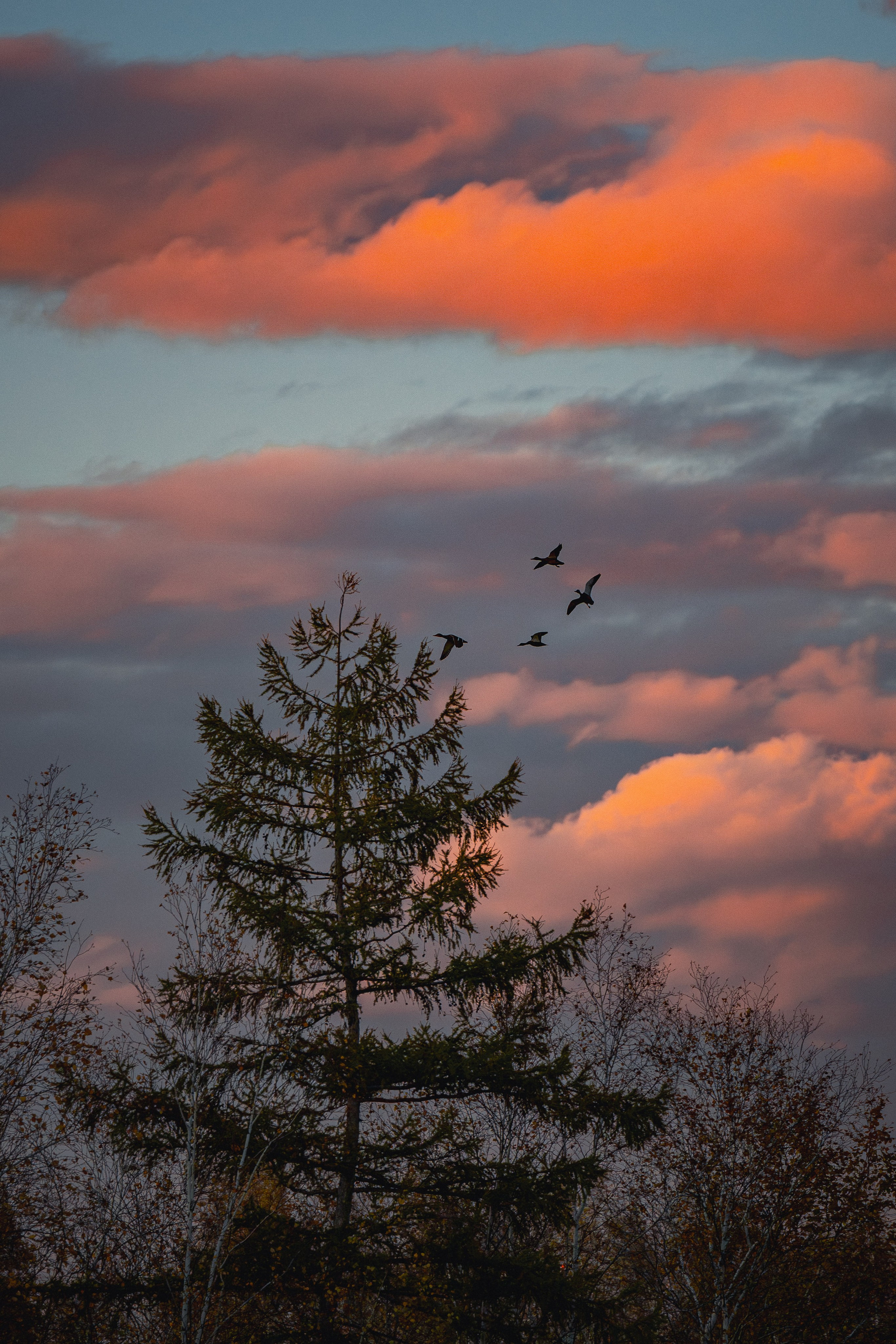 Семейный, репортажный, десткий фотограф Комсомольск-на-Амуре