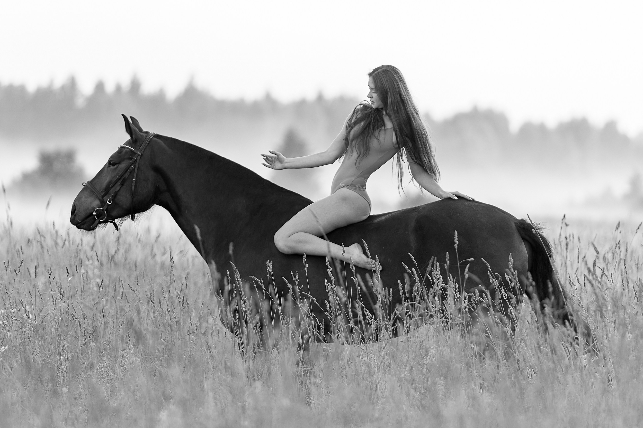 Балет и лошади, фотосессия «ГРАЦИЯ и СИЛА-1» Фотограф Михаил Семенов г. Ярославль